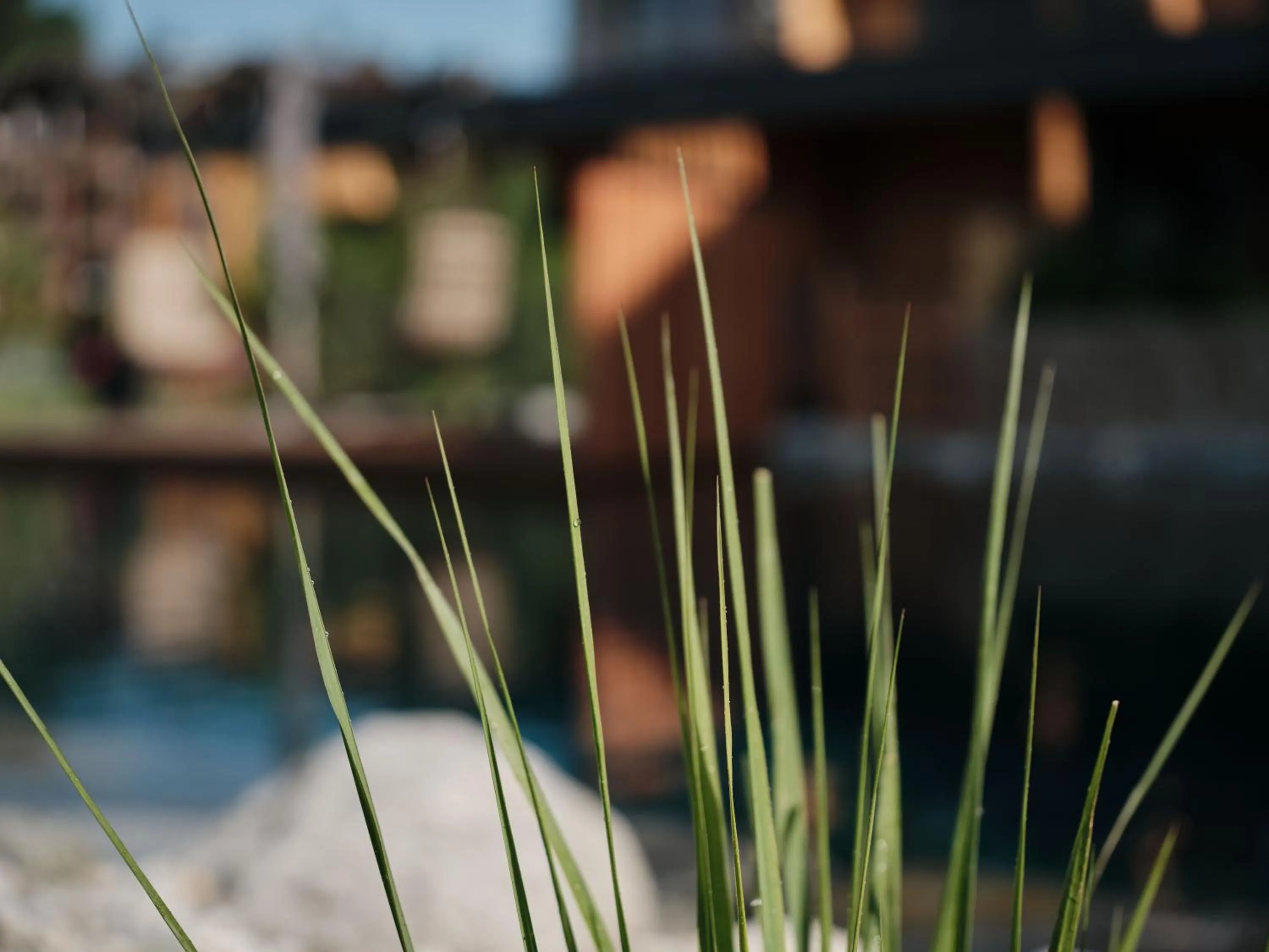 Garden in Wellness und Brunch Hotel MorgenZeit beheizter Naturpool mit Sandstrand Genuss Frühstück bis 13 Uhr Hochkönig Sommercard