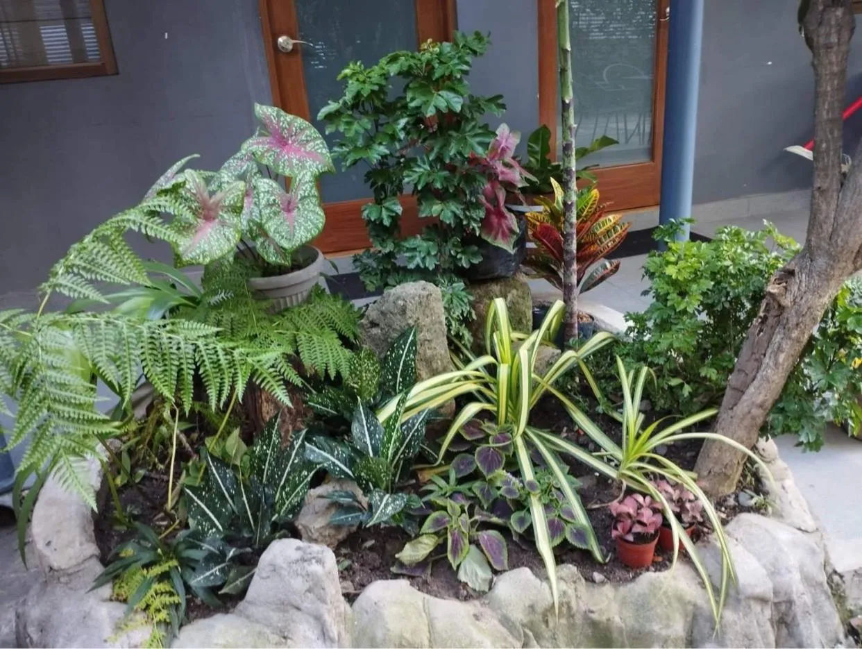 The Hub District Garden Suites