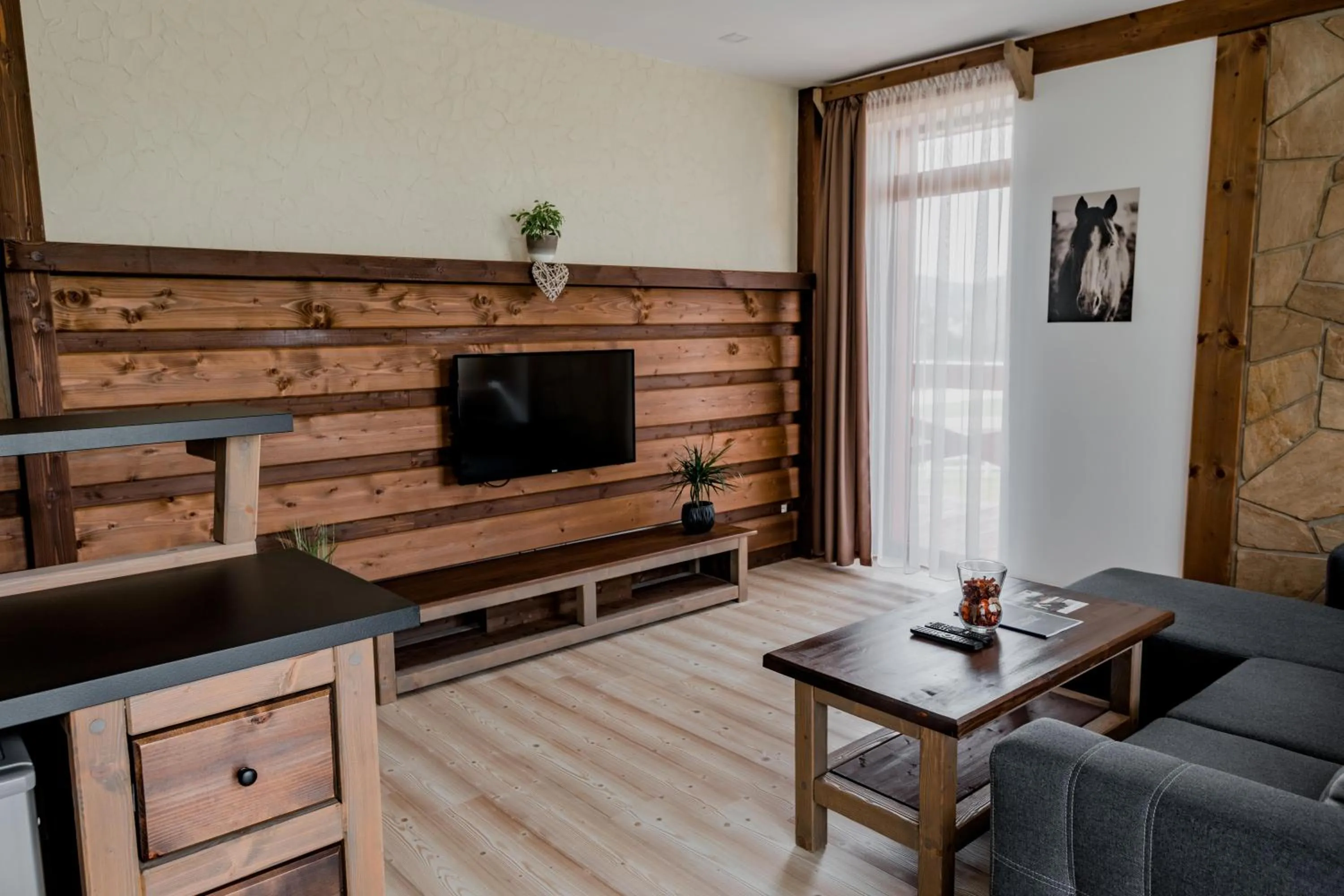 TV and multimedia in Nestville Apartments