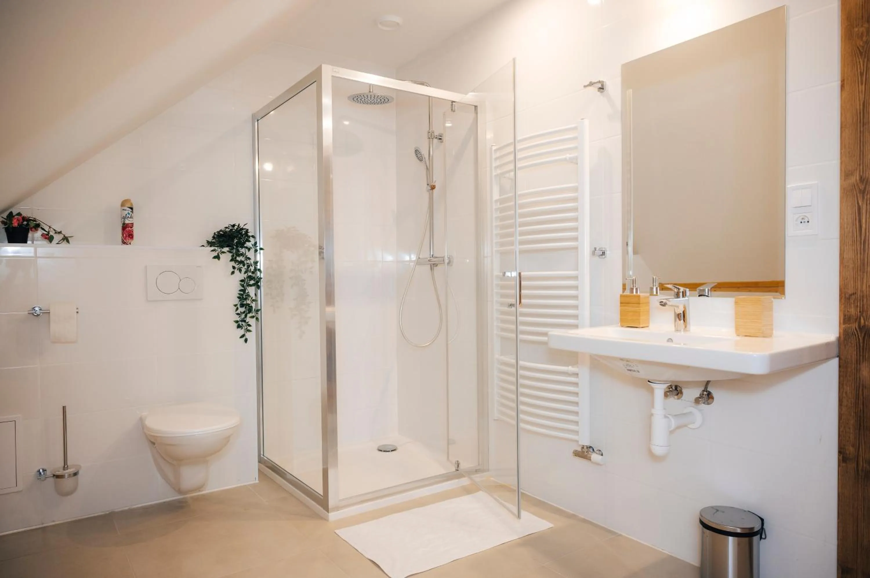 Shower in Nestville Apartments