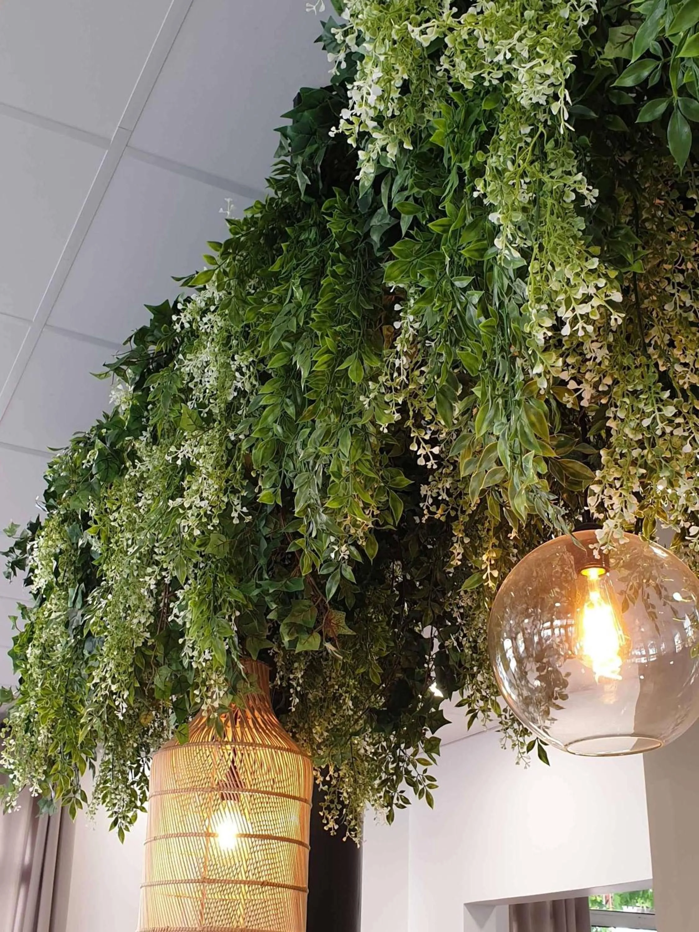 Property building in ibis Ciboure Saint-Jean-de-Luz