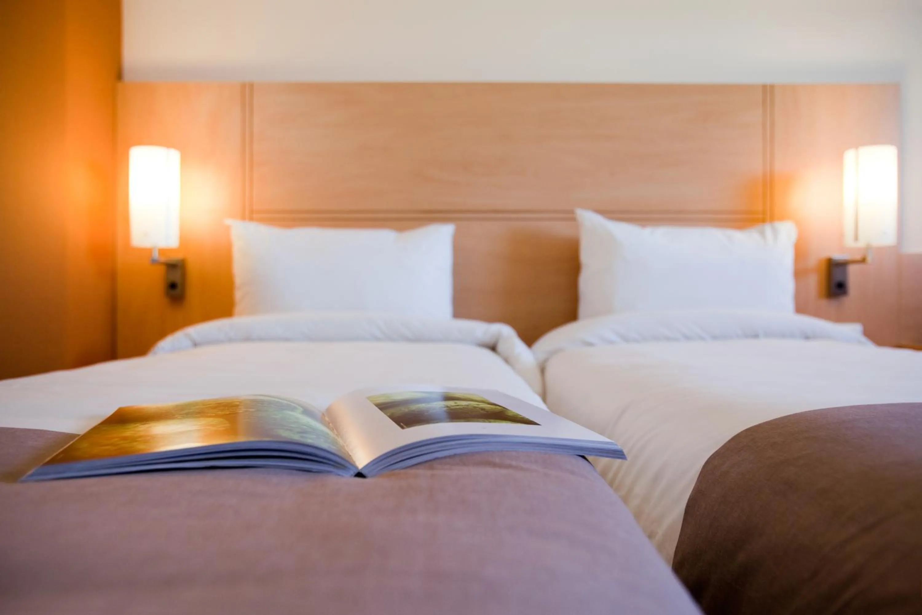 Bed in ibis Issy les Moulineaux "Val de Seine"