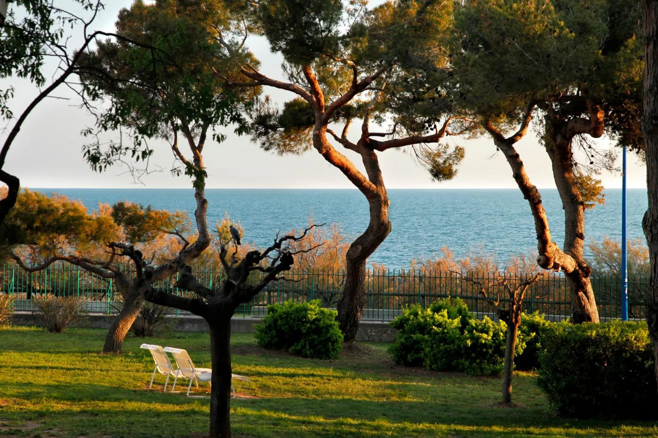 Garden in Domaine du Lazaret - Village vacances 3 étoiles en bord de mer