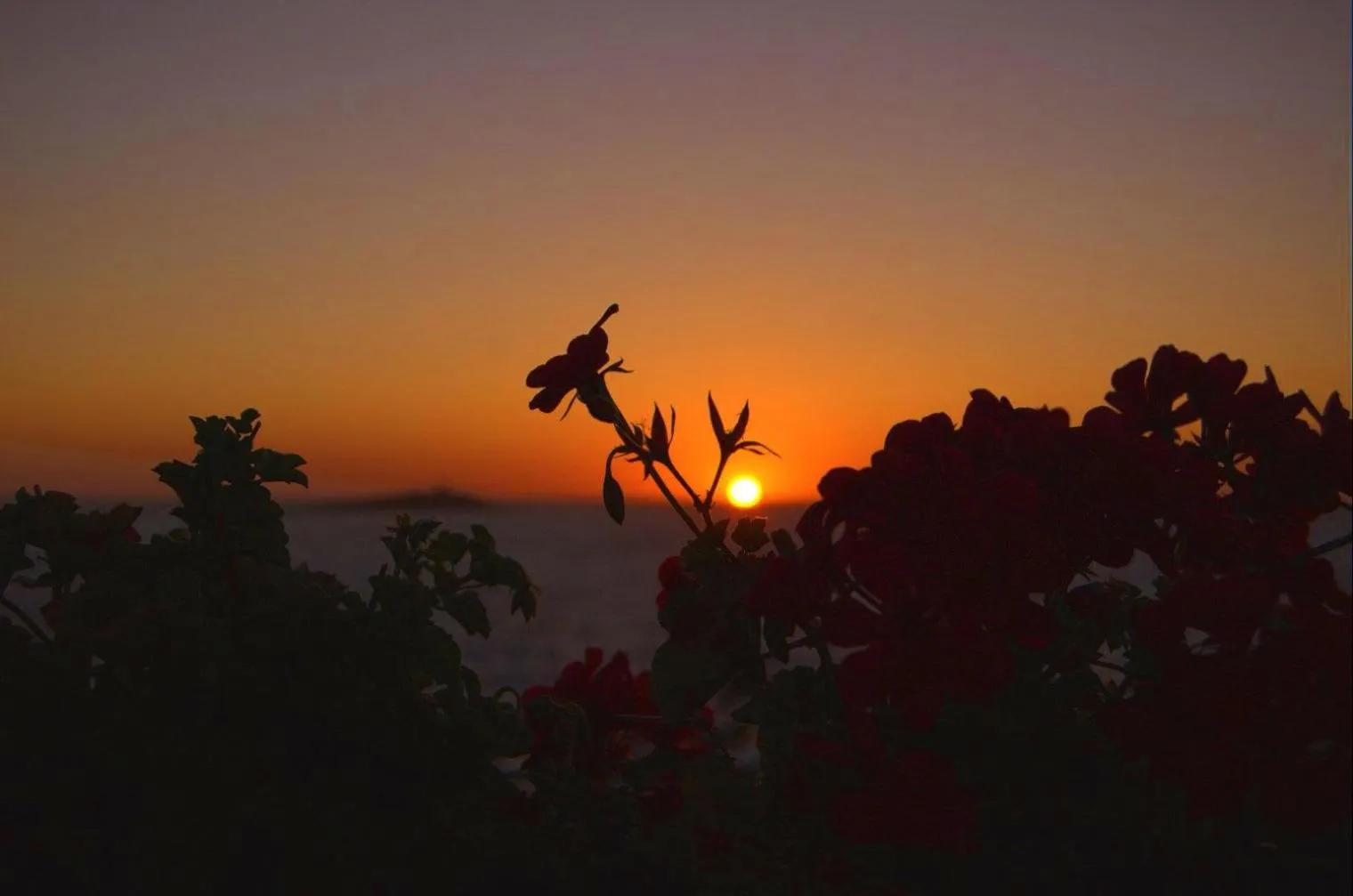 Bellevue del Golfo Hotel & Spa