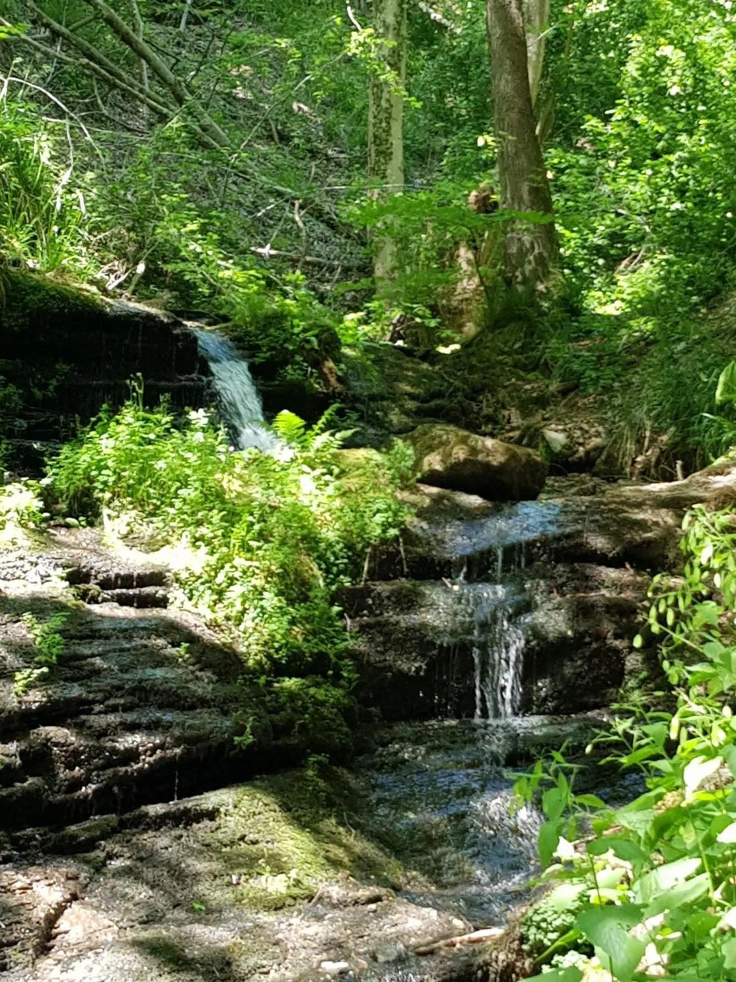 Hiking in Landhaus Gräfendhron