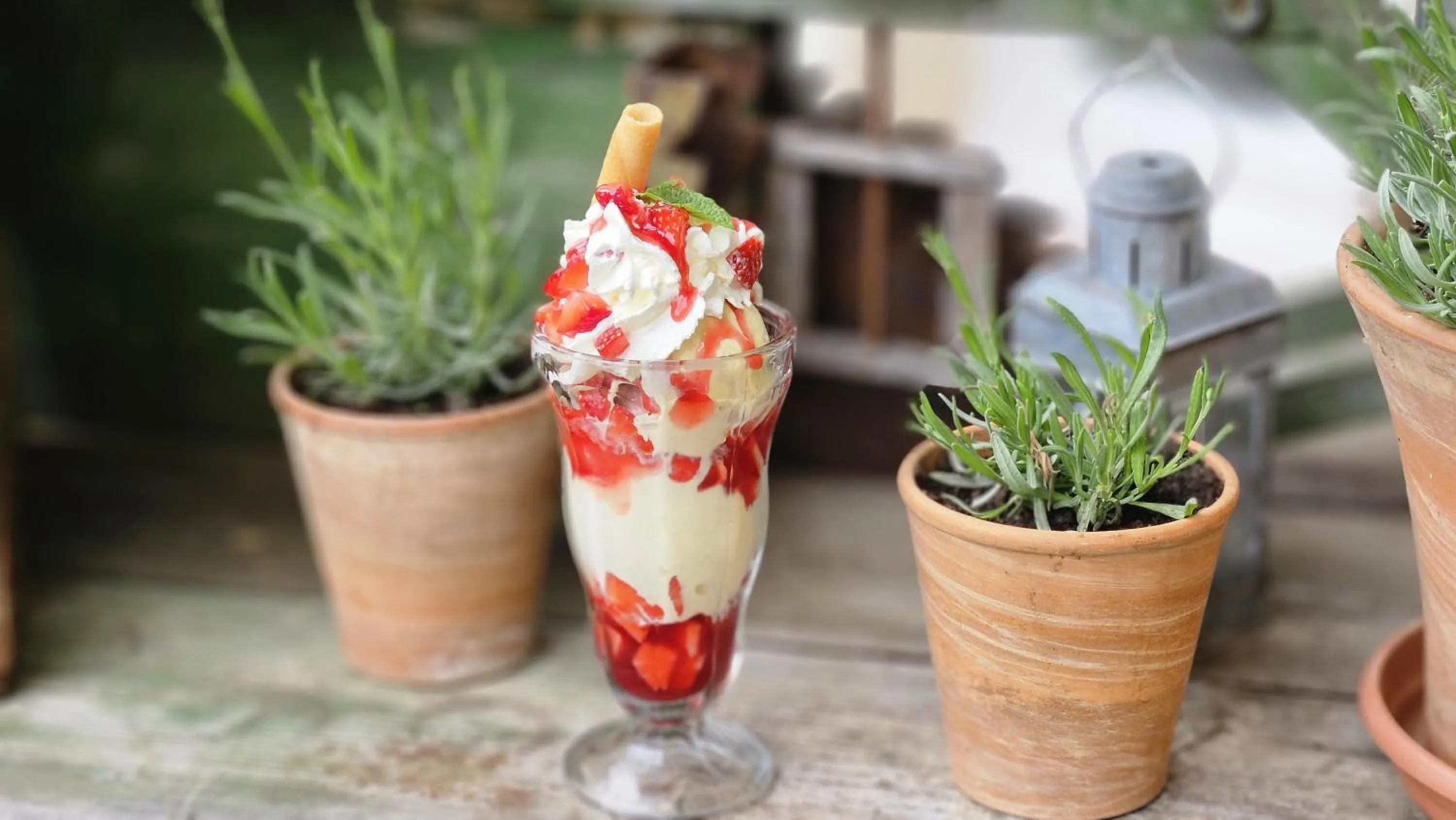 Patio in Landhaus Gräfendhron