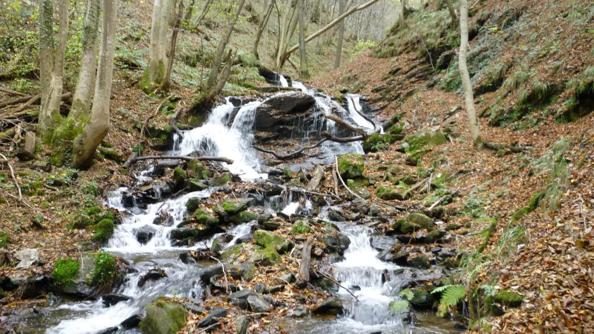 Hiking in Landhaus Gräfendhron