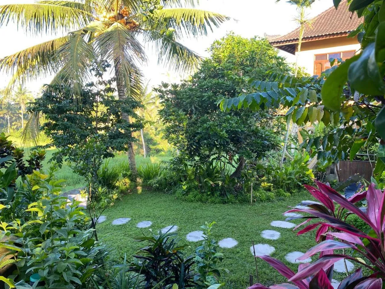 Natural landscape in Dukuh Village Villas & Art