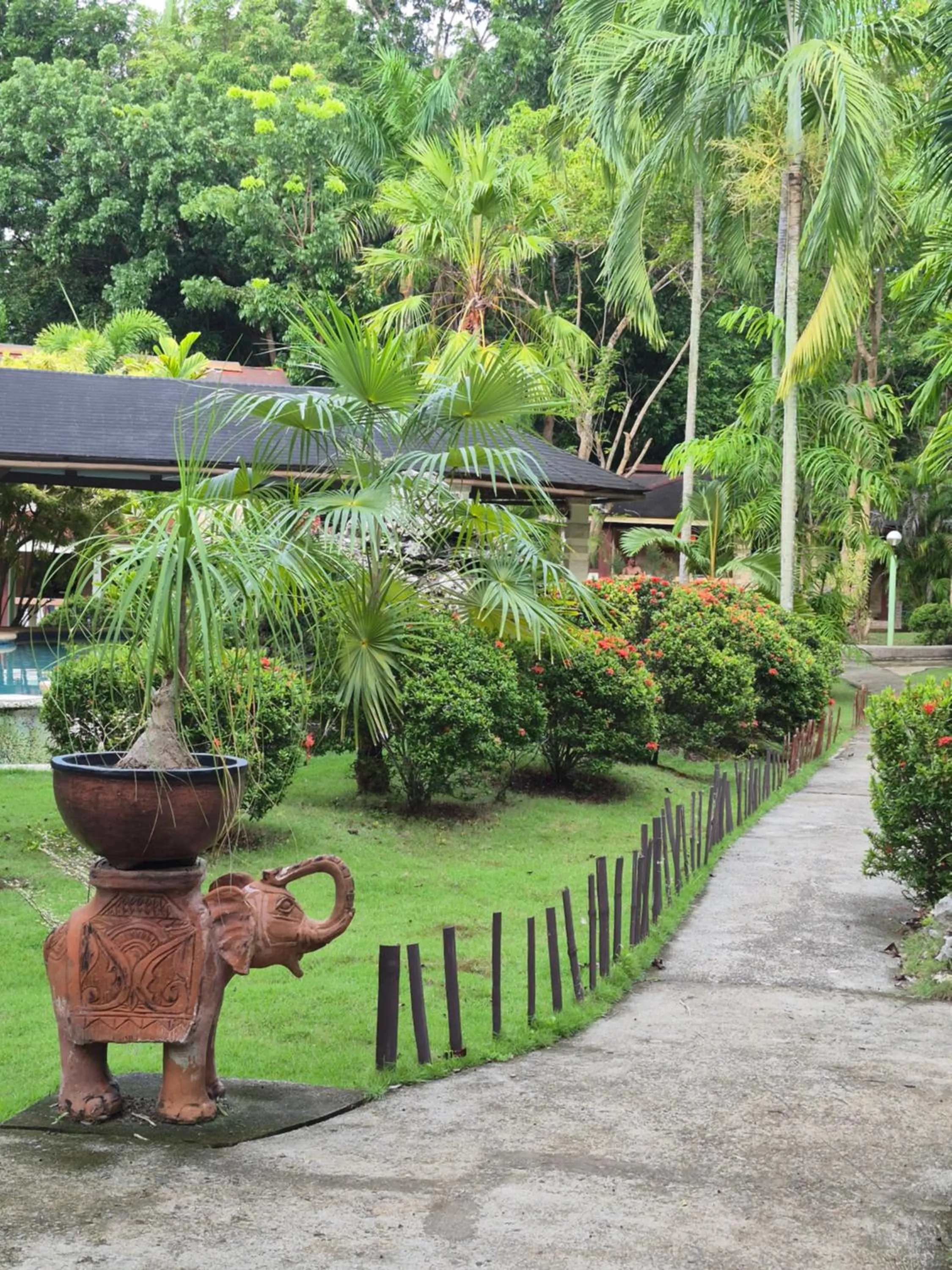 Garden in ALONALAND RESORT