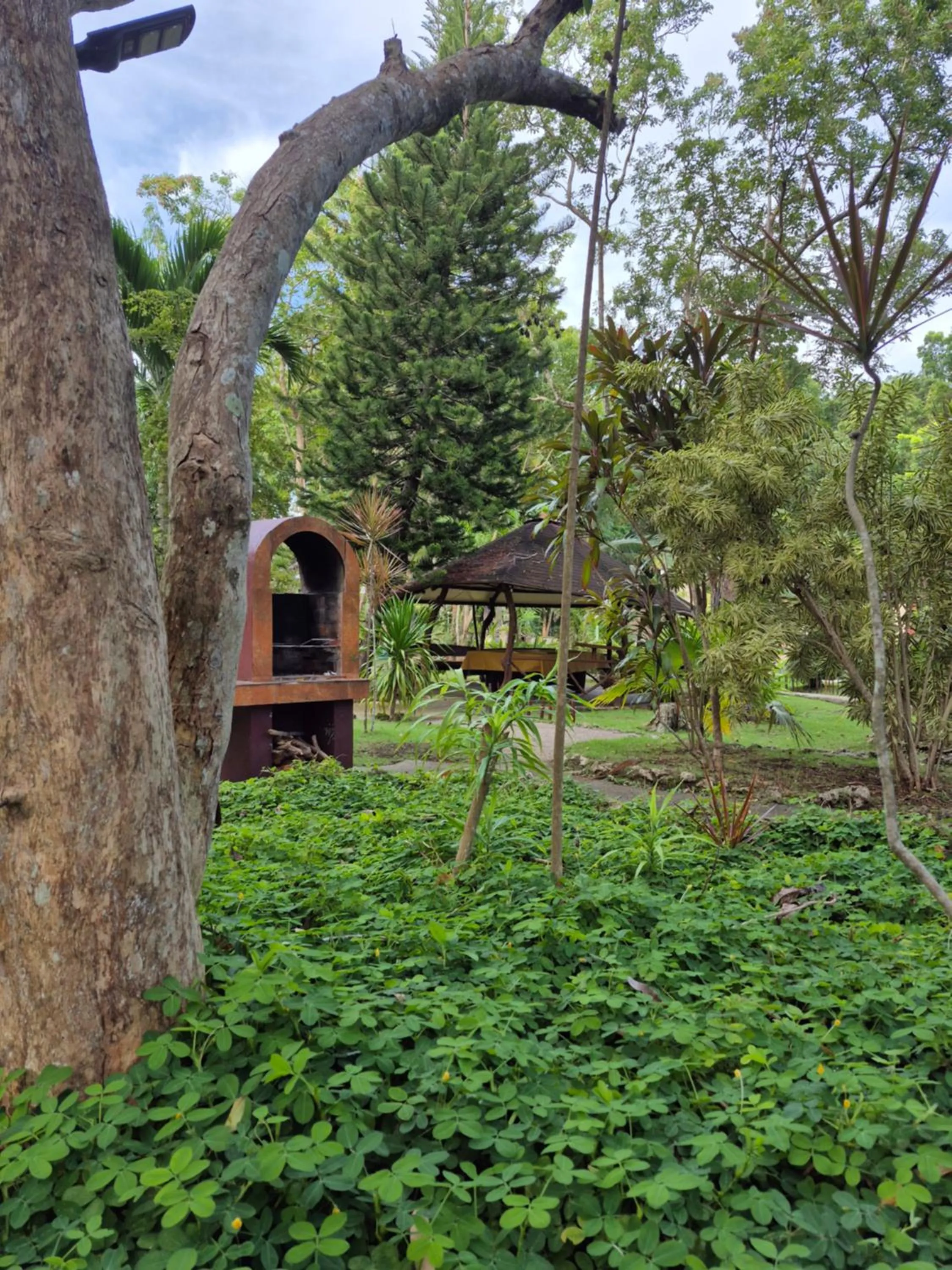 Garden in ALONALAND RESORT