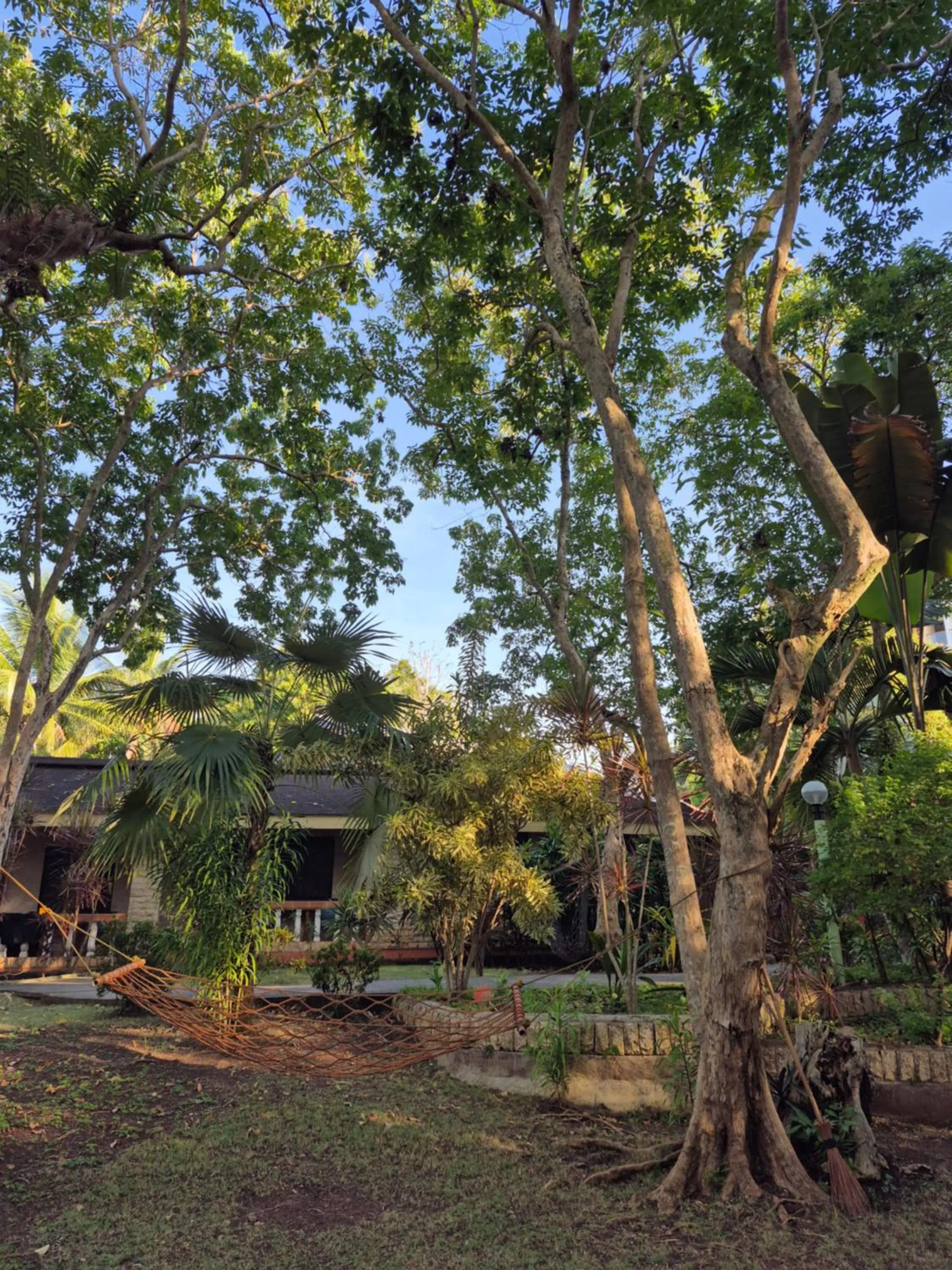 Garden in ALONALAND RESORT