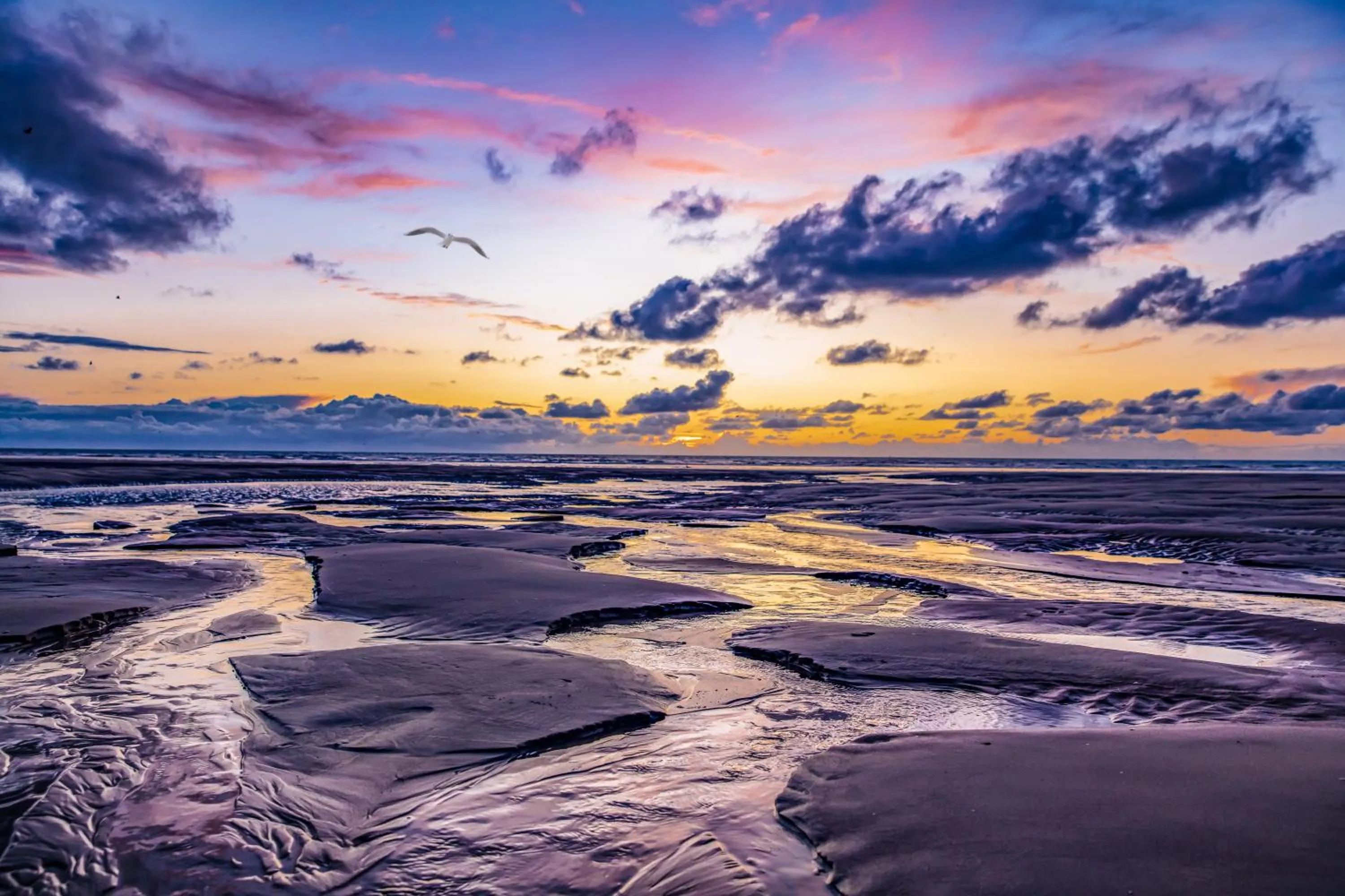 Day in Le Regina Hôtel restaurant