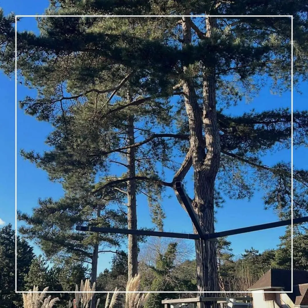 Spring in Le Regina Hôtel restaurant