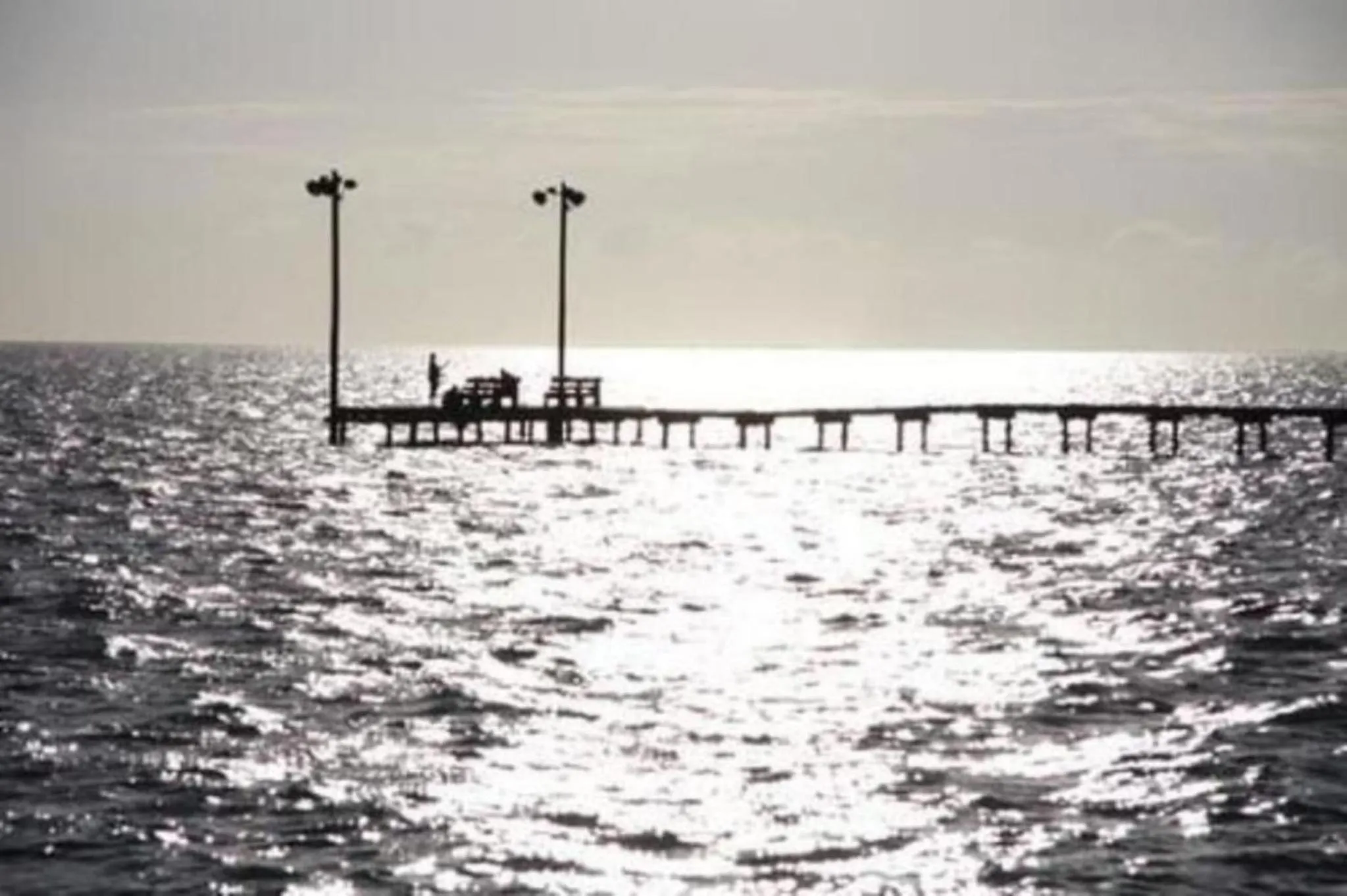 Activities in The Peaceful Pelican LLC