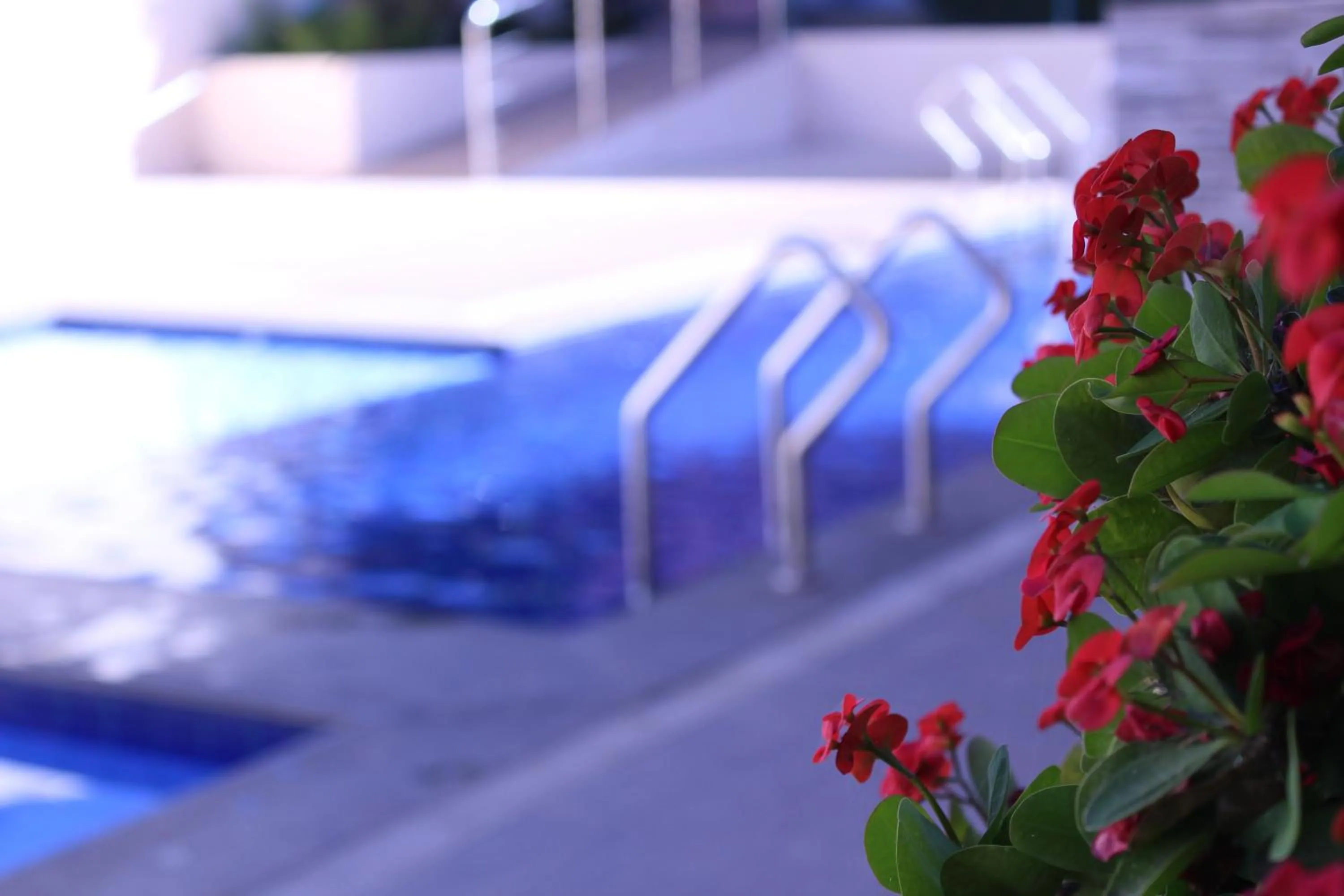 Swimming pool in Santa Rosa Hotel