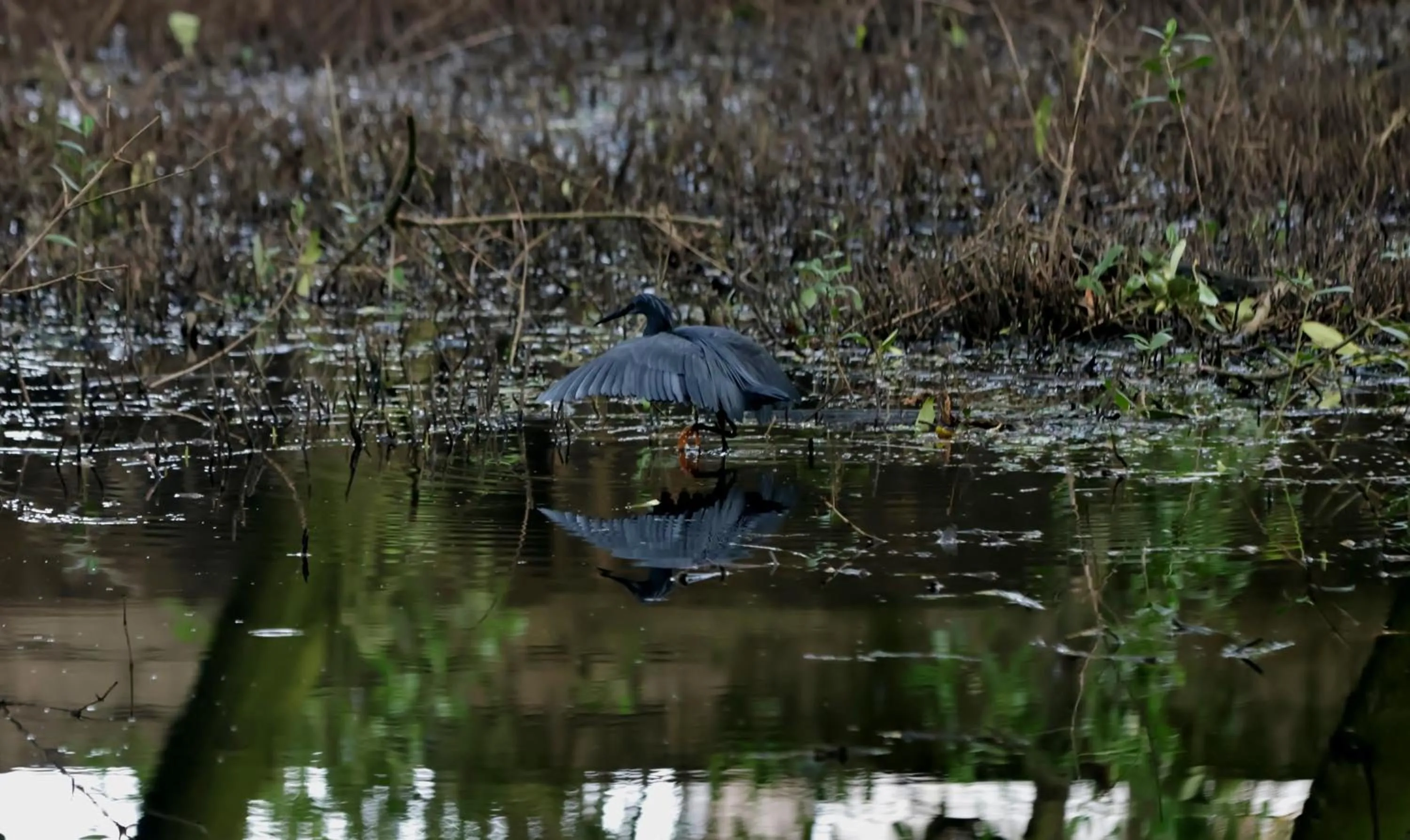 Day in Labadi Beach Hotel