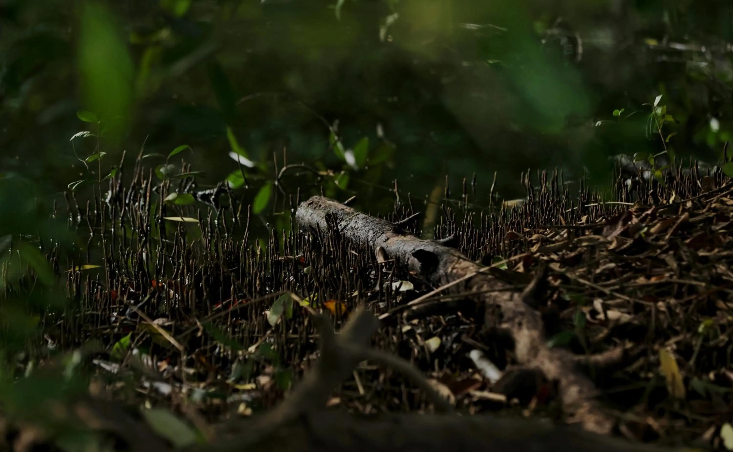 Day in Labadi Beach Hotel