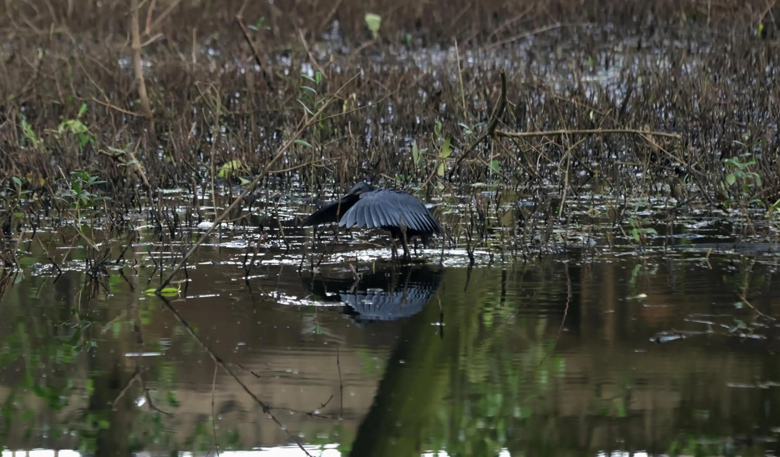 Spring in Labadi Beach Hotel