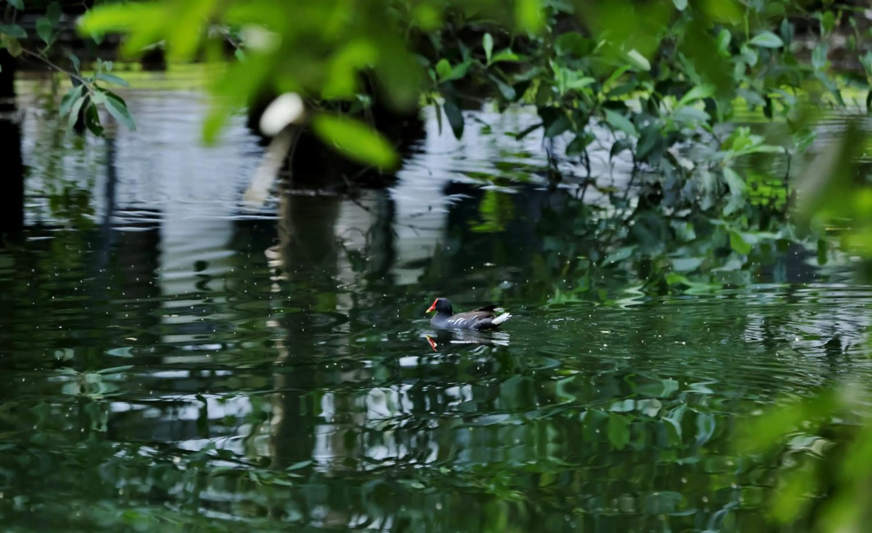 Day in Labadi Beach Hotel