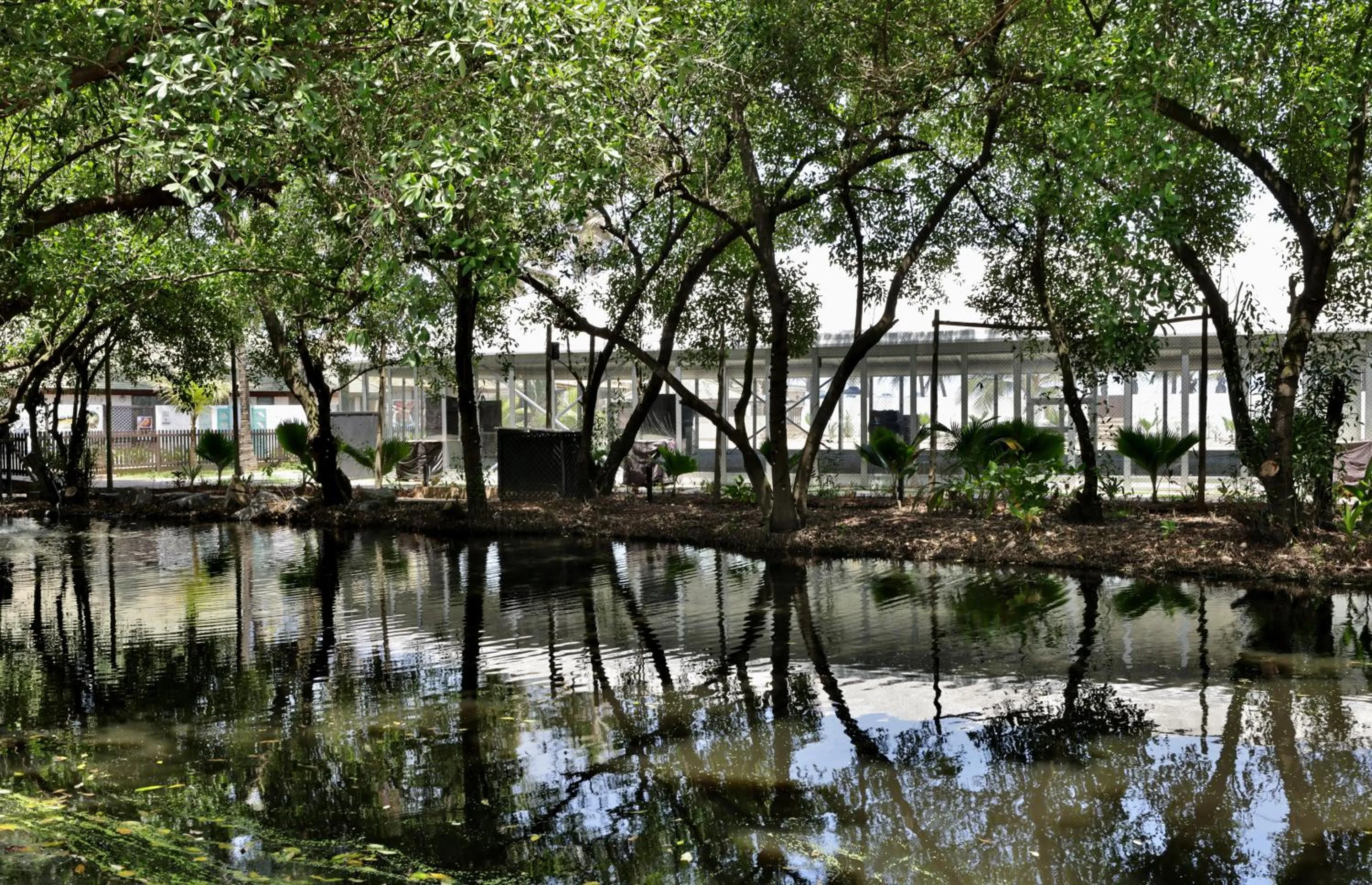 Spring in Labadi Beach Hotel