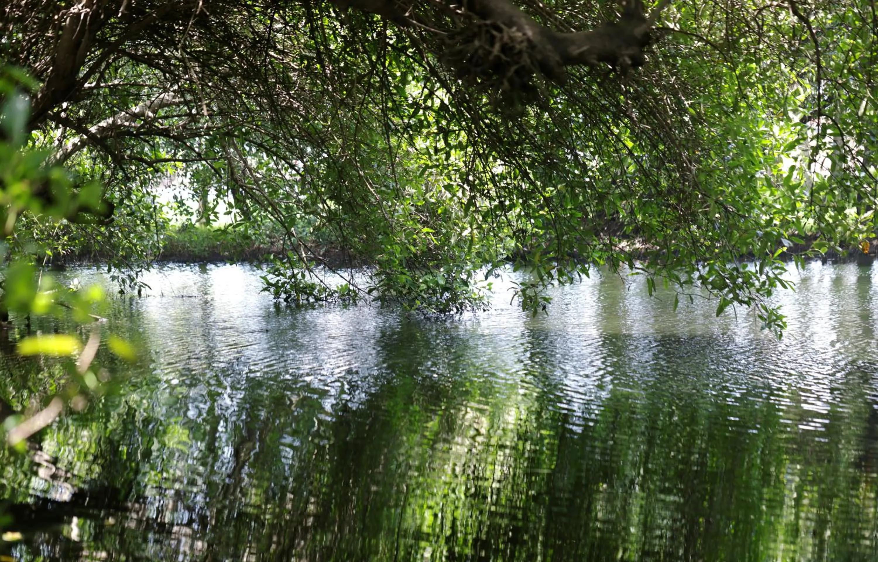 Natural landscape in Labadi Beach Hotel