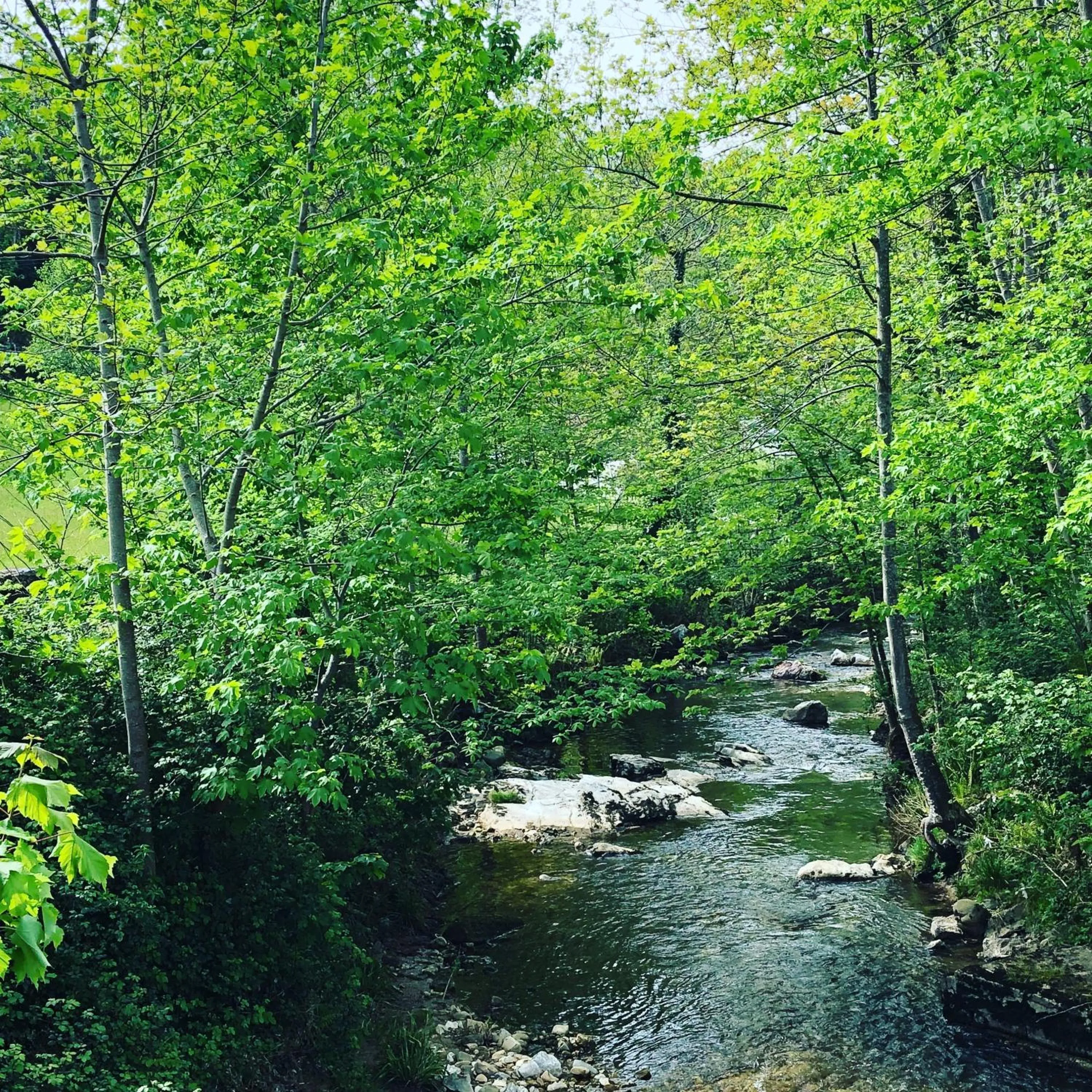 Other in Hotel - Apartamentos Peña Santa