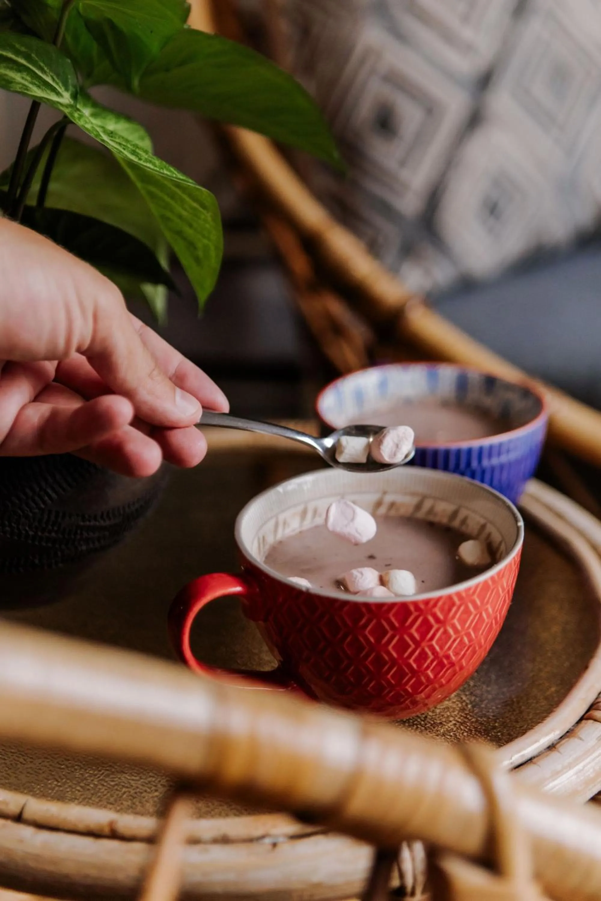 Drinks in iGwalagwala Guest House