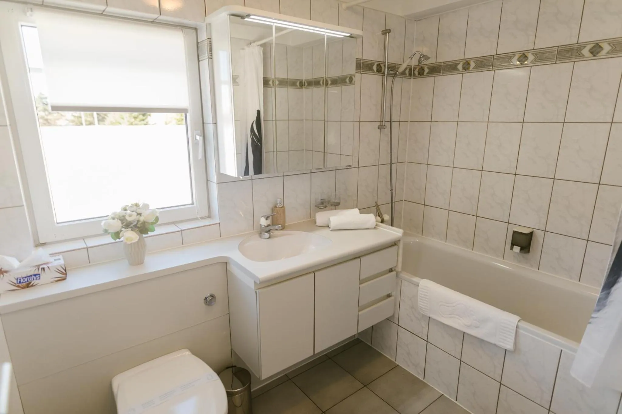 Bathroom in Villa Helvetia