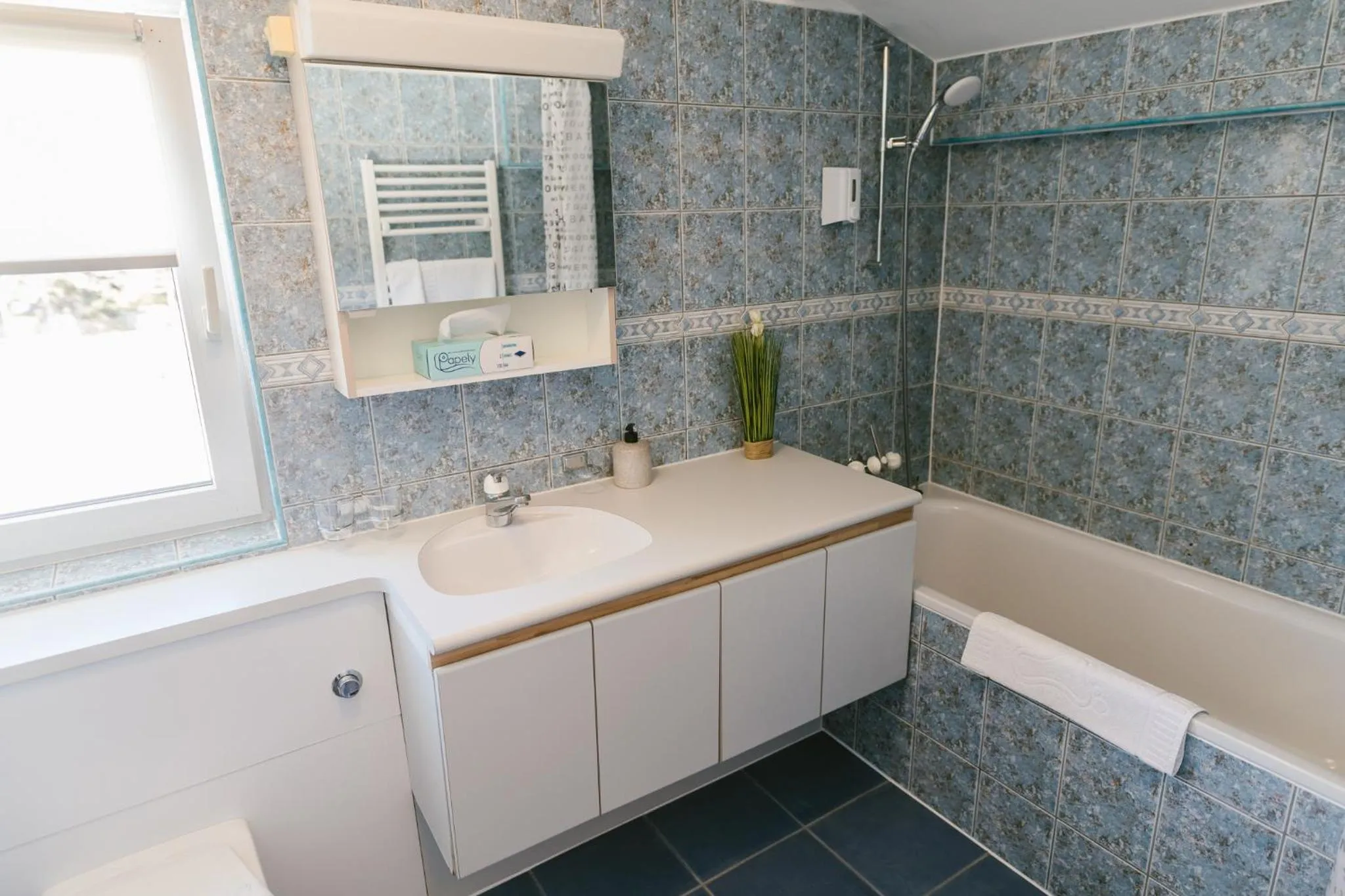 Bathroom in Villa Helvetia