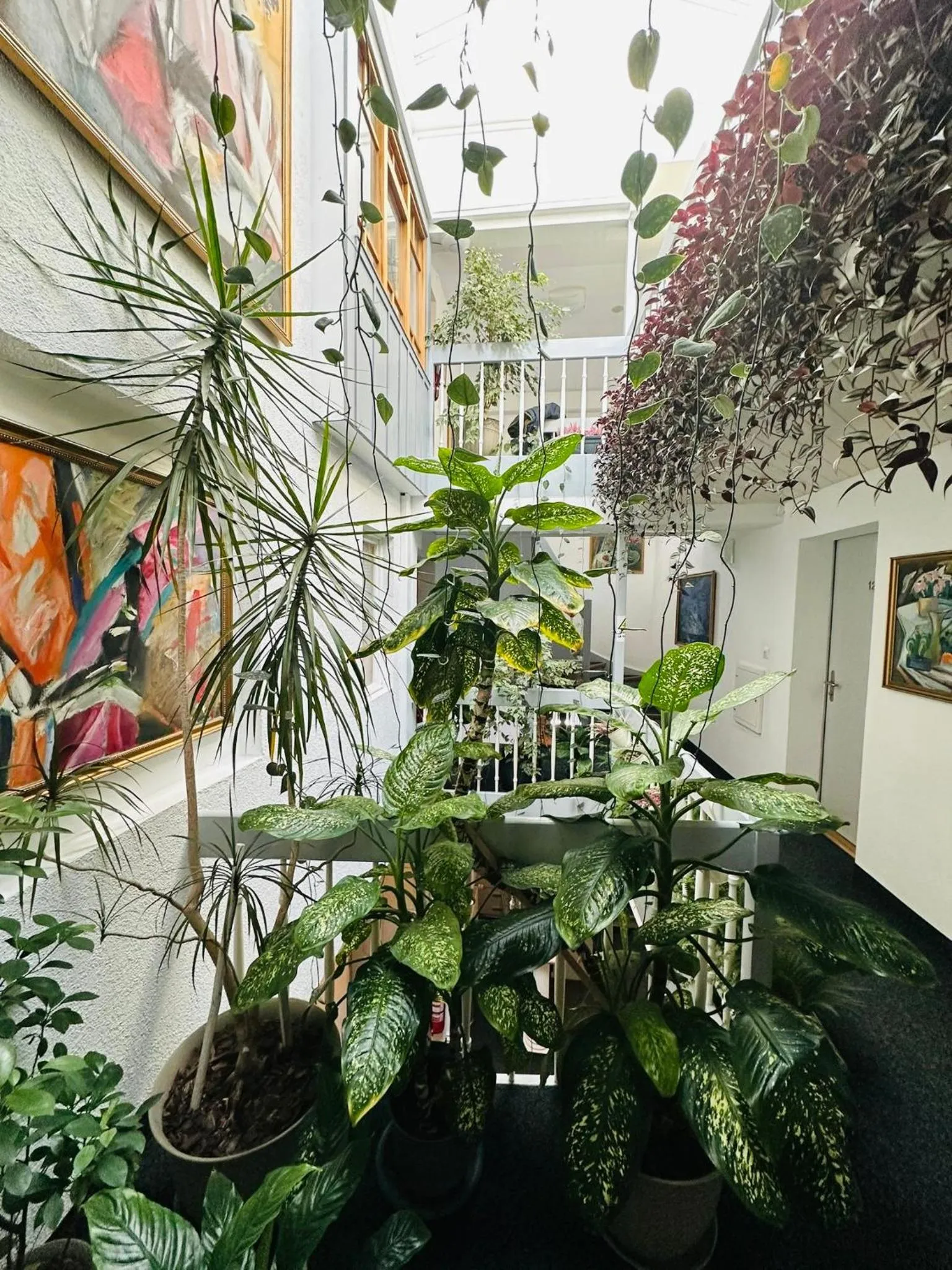 Property building in Villa Helvetia