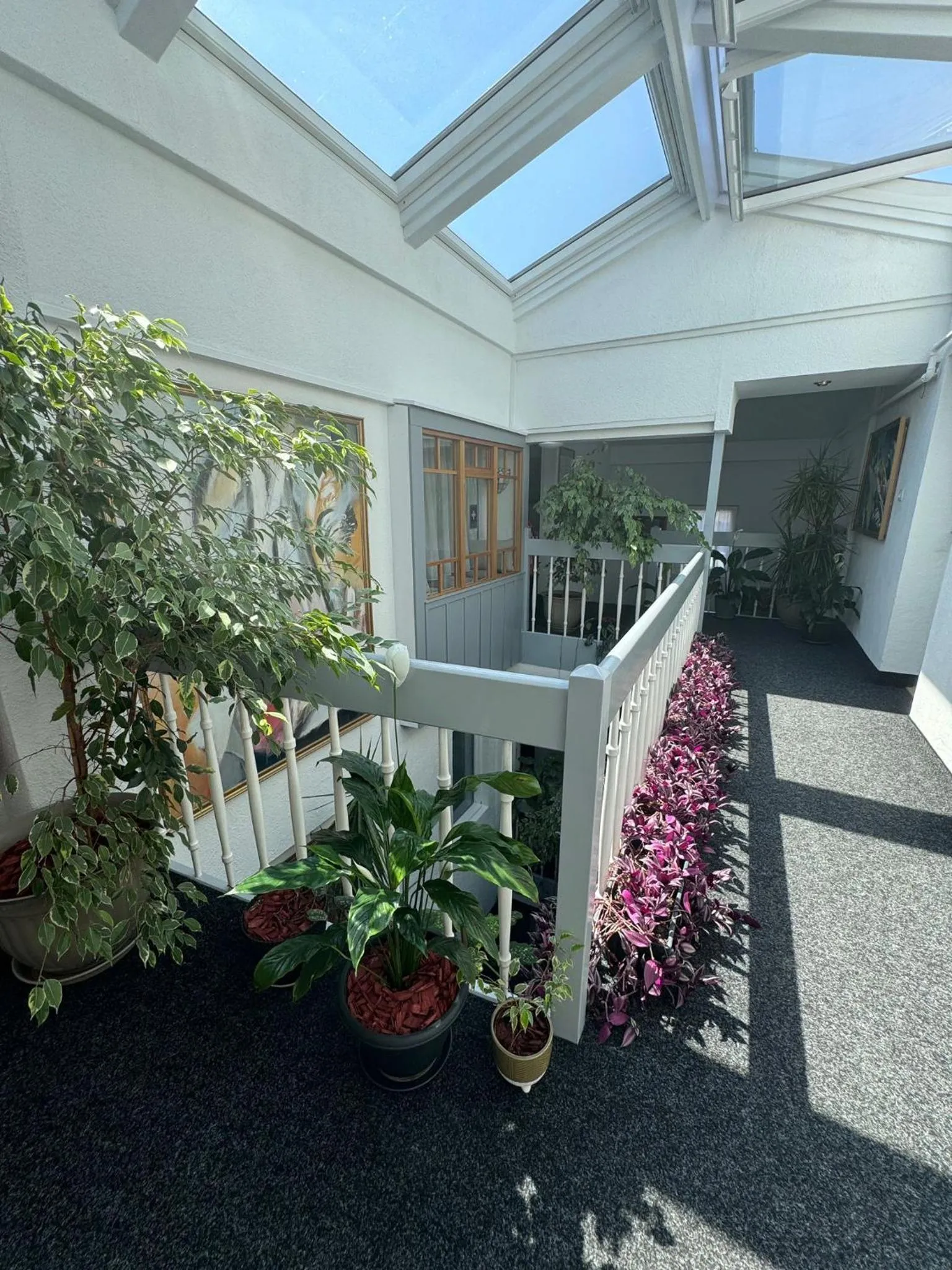 Property building in Villa Helvetia