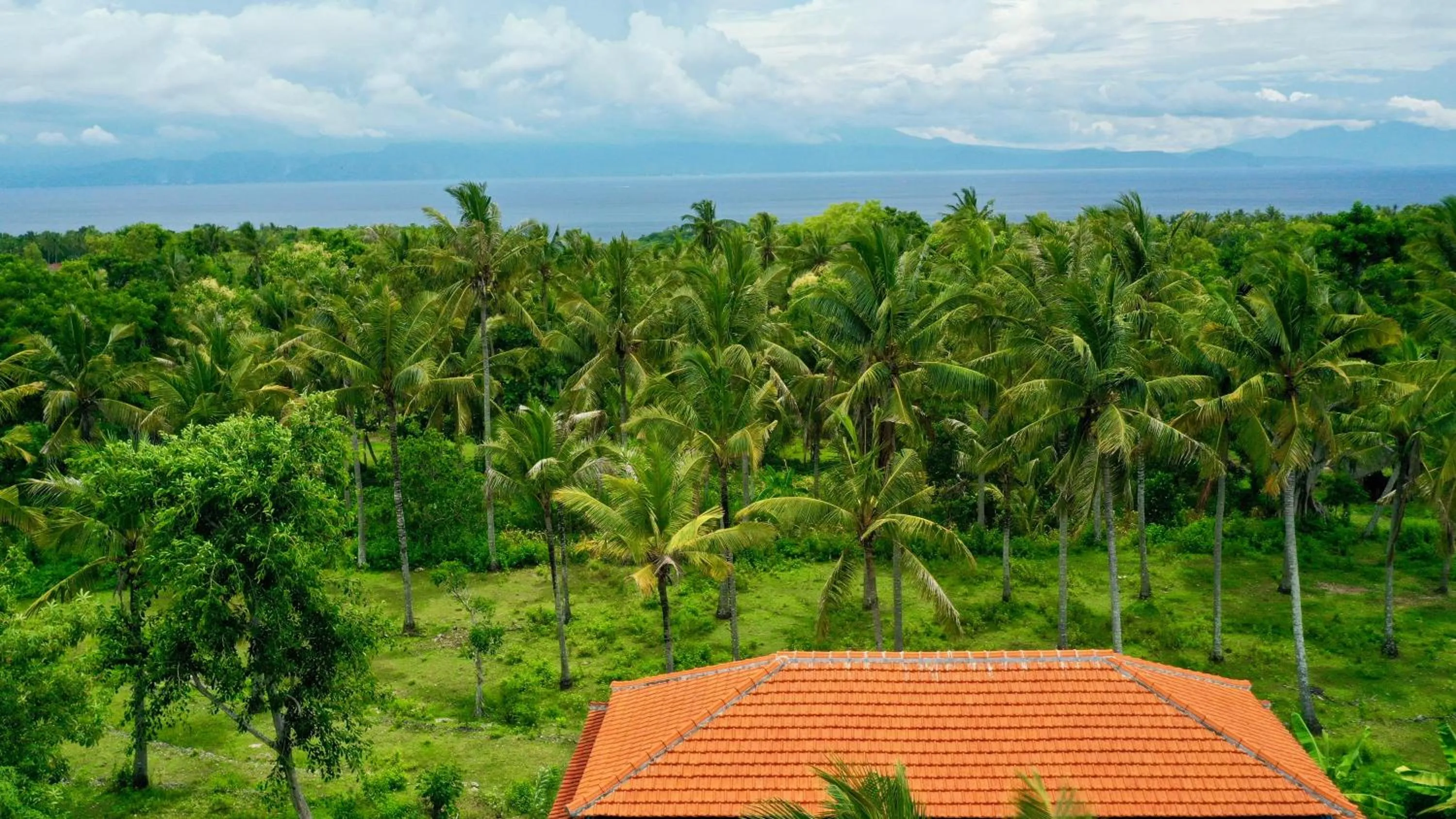 Restaurant/places to eat in Jungle Paradise