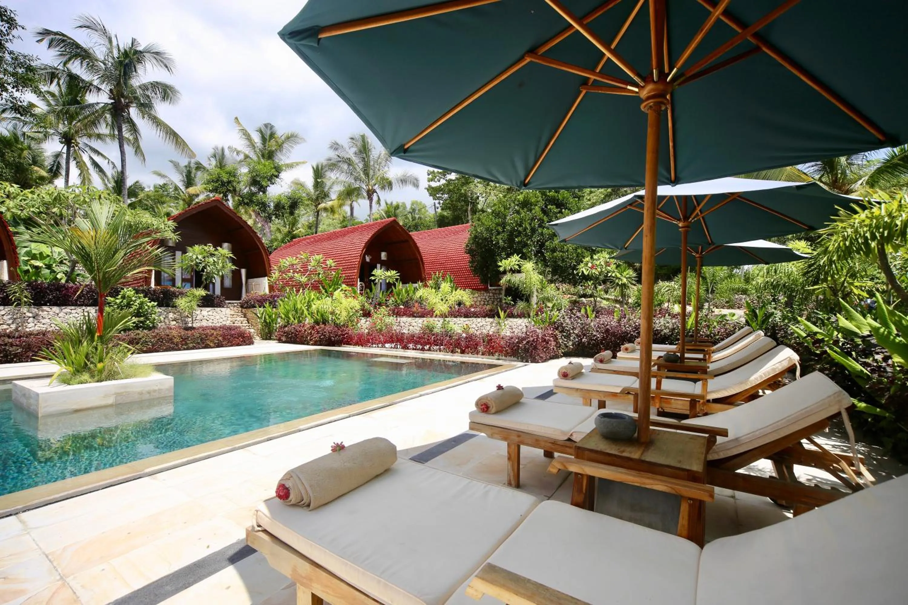 Swimming pool in Jungle Paradise