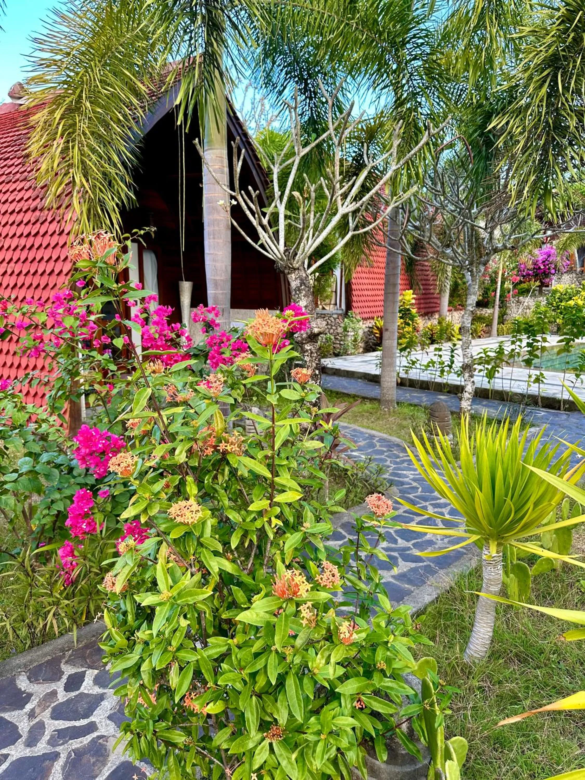 Property building in Jungle Paradise