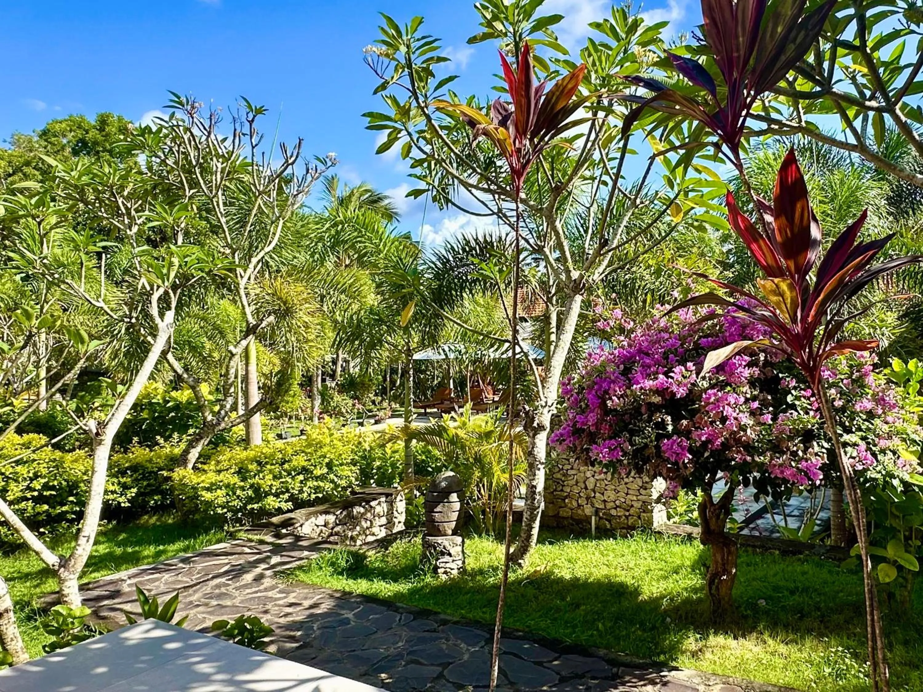 Garden view in Jungle Paradise
