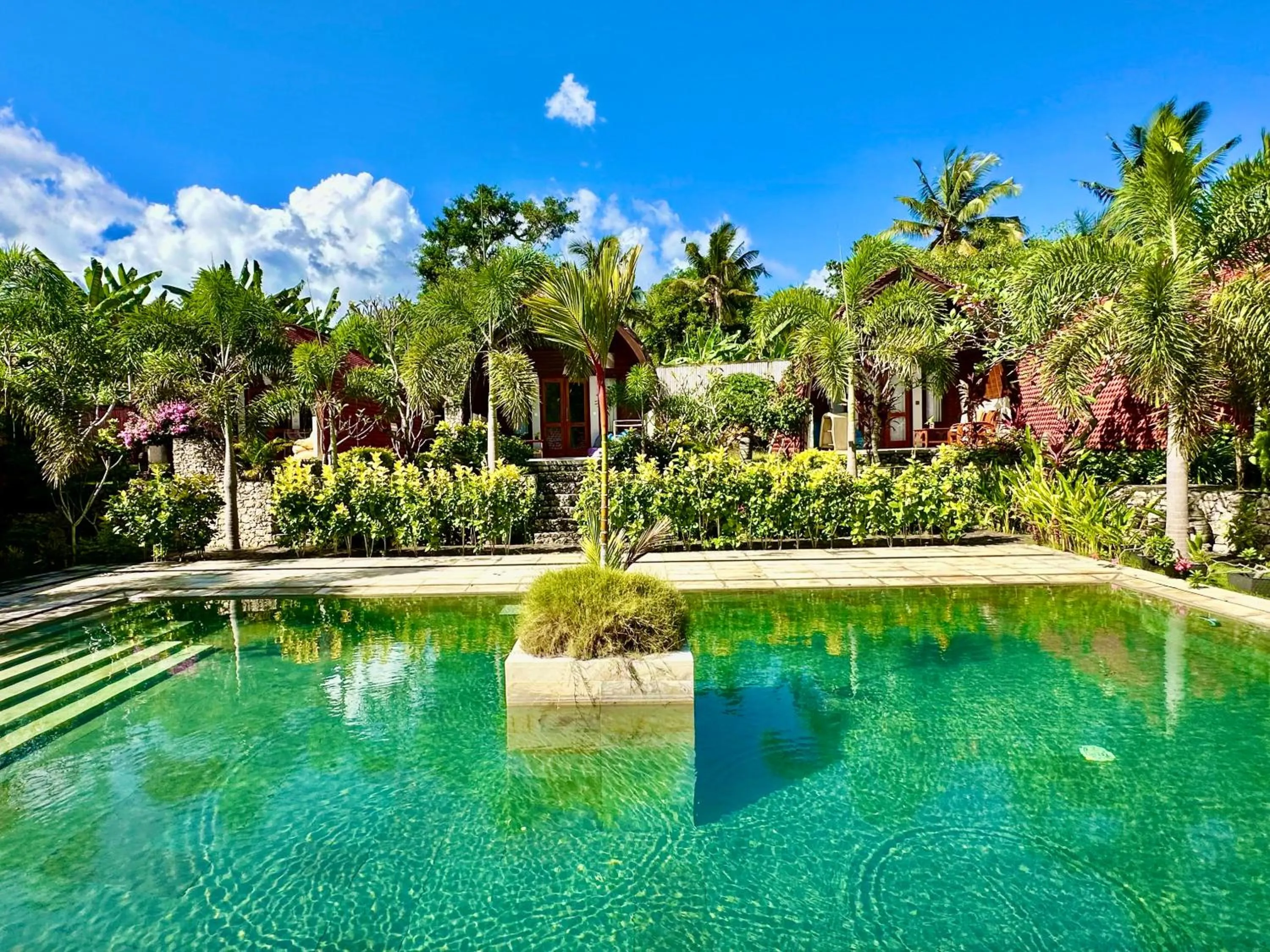 Swimming pool in Jungle Paradise