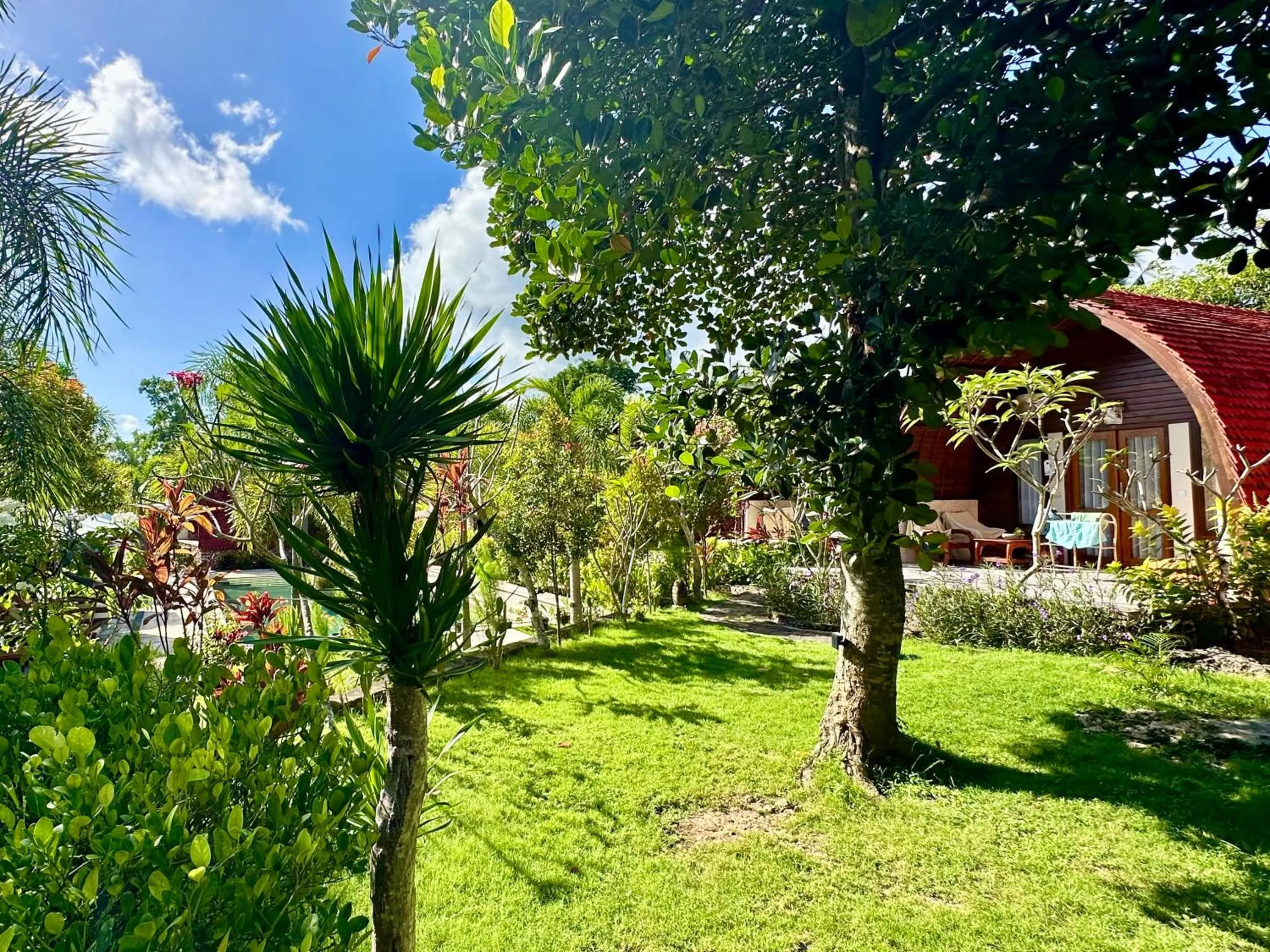 Garden in Jungle Paradise