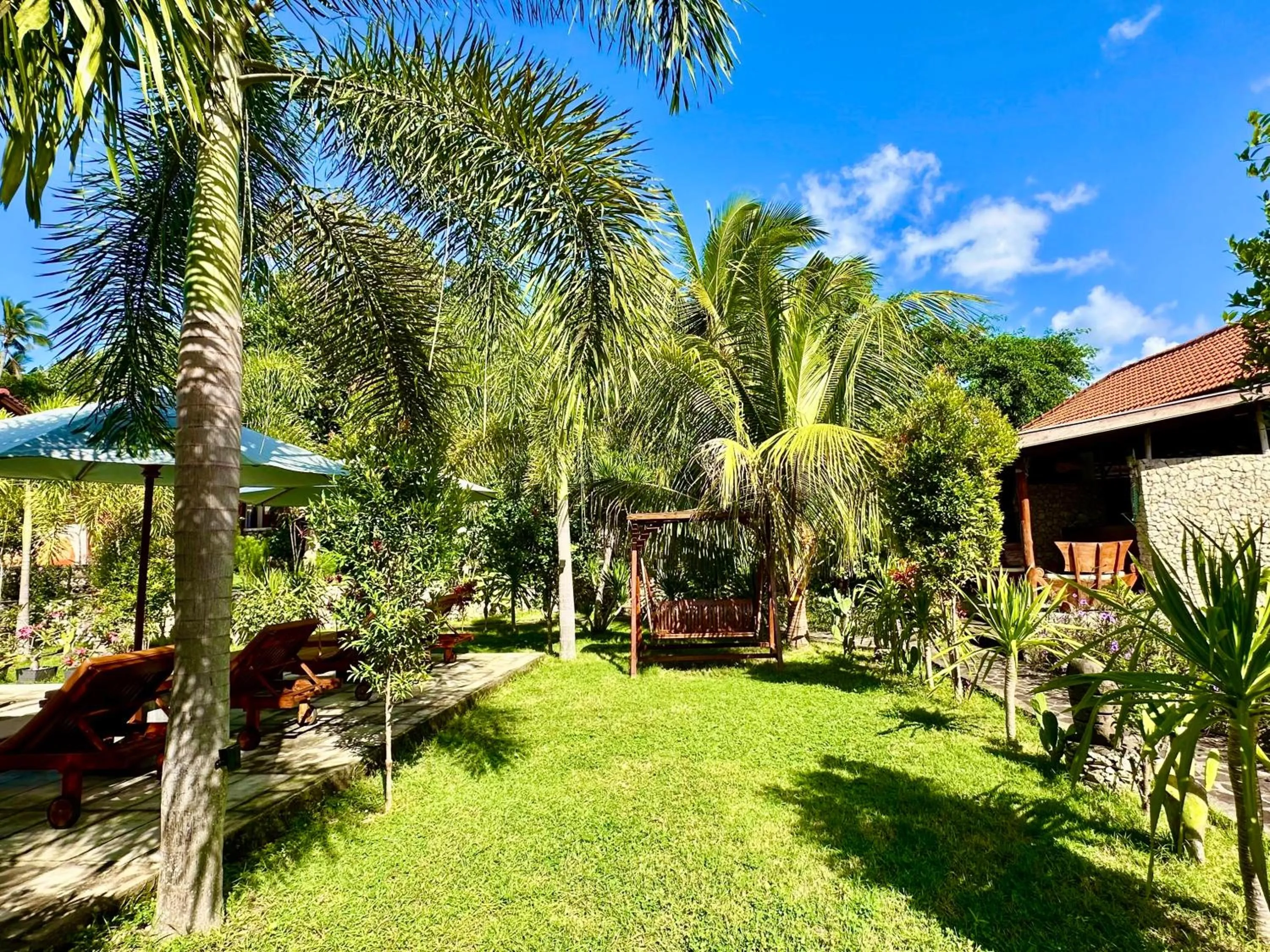 Garden in Jungle Paradise