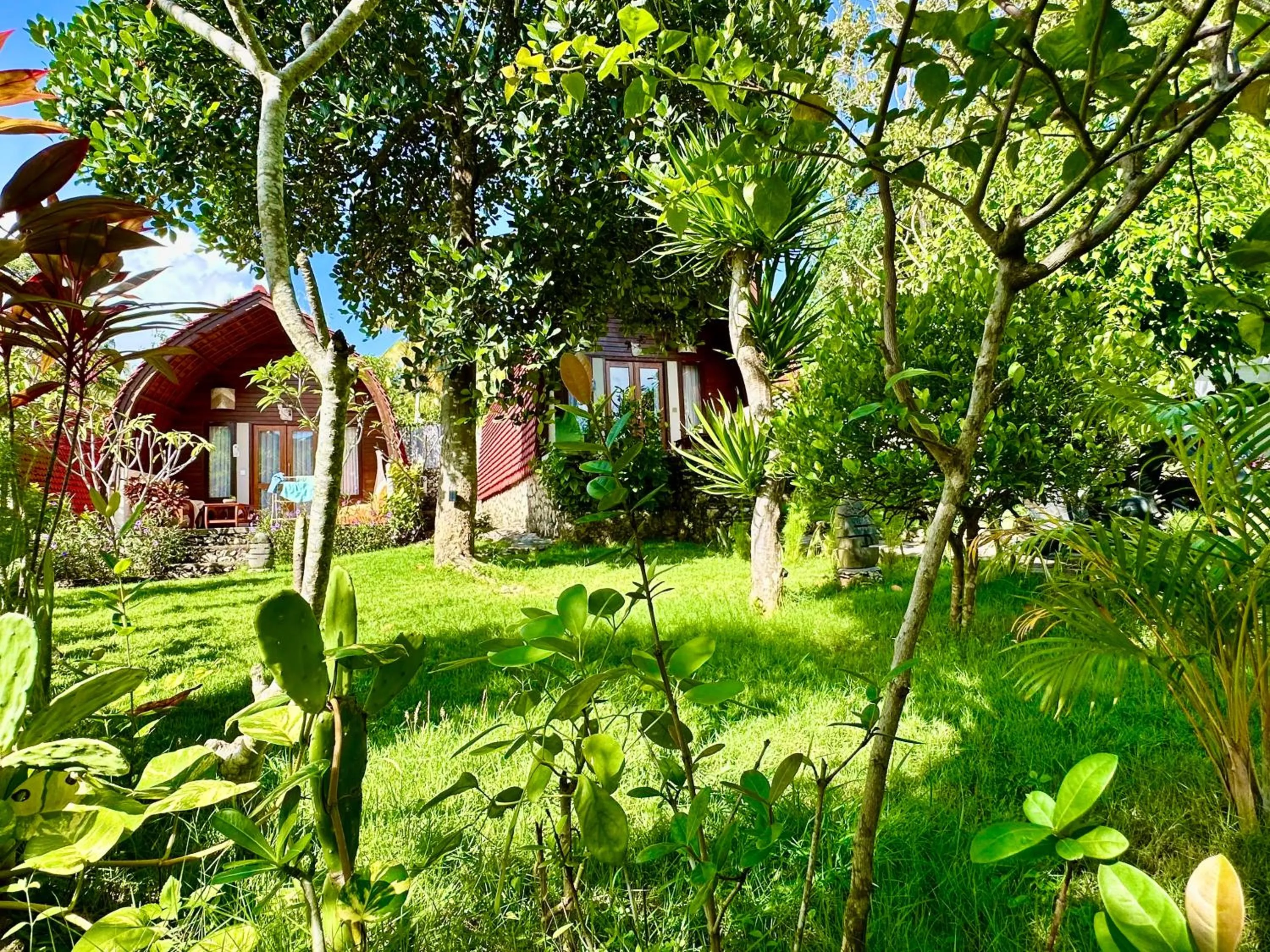 Property building in Jungle Paradise