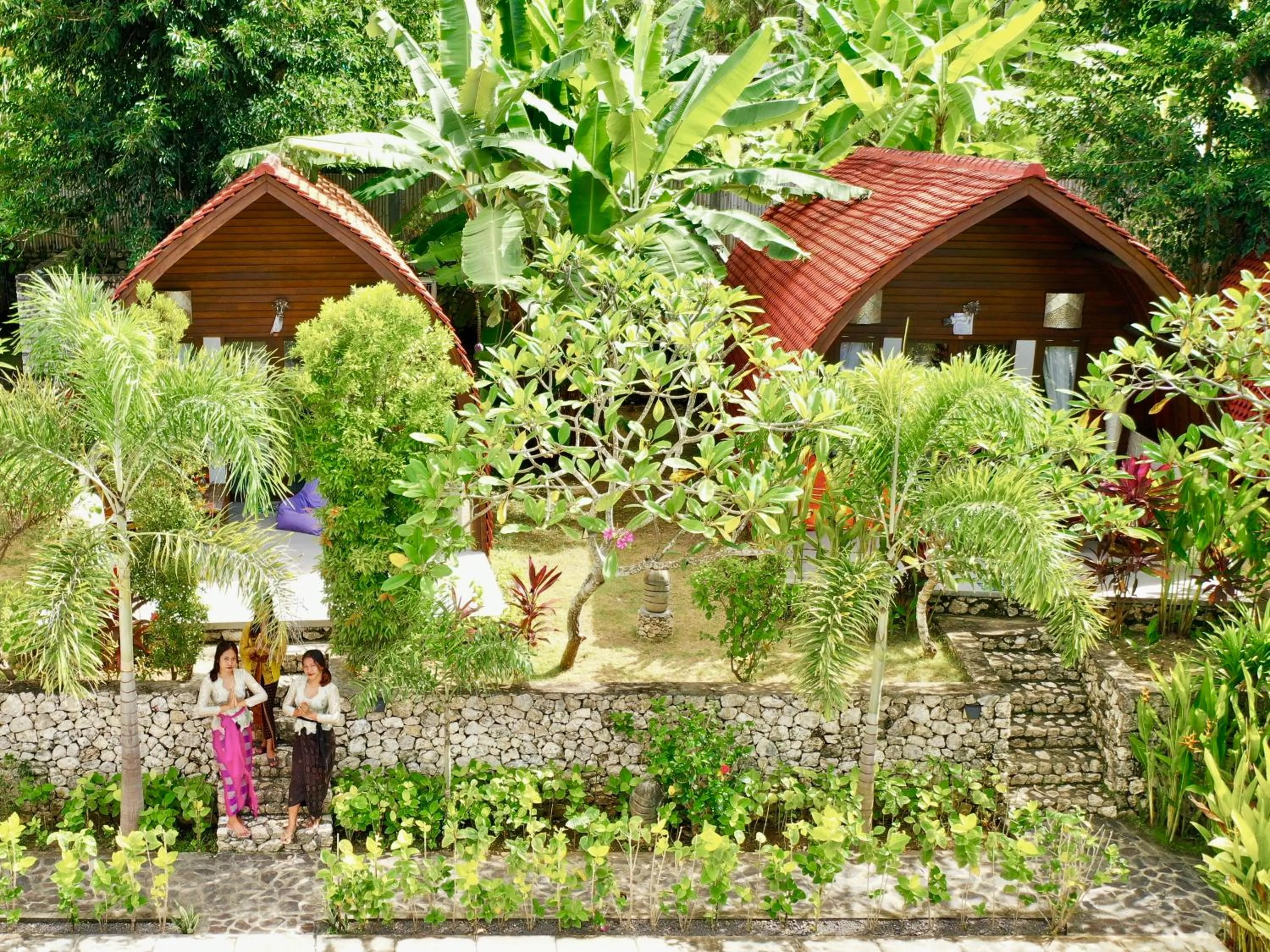 Property building in Jungle Paradise