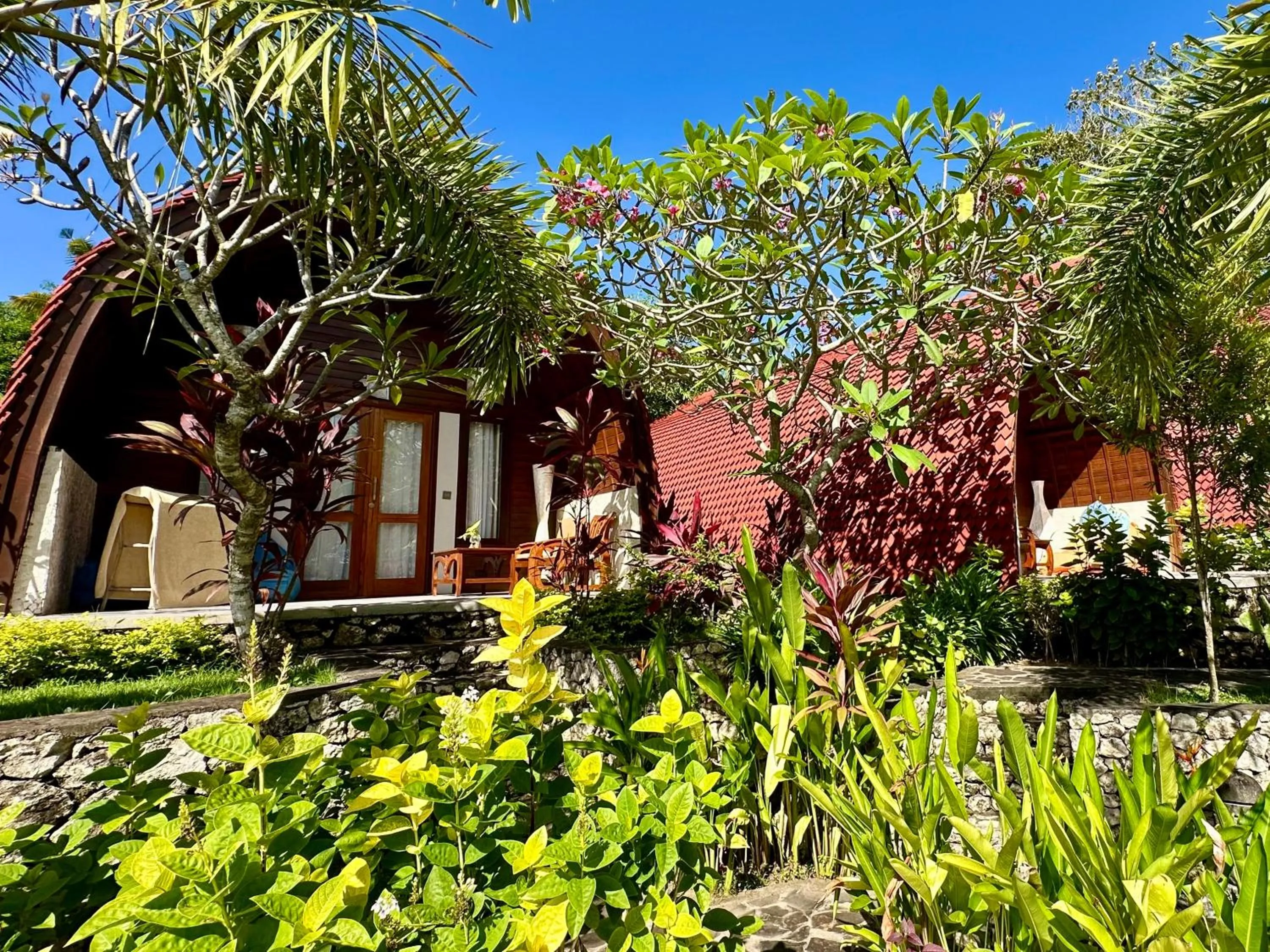 Property building in Jungle Paradise