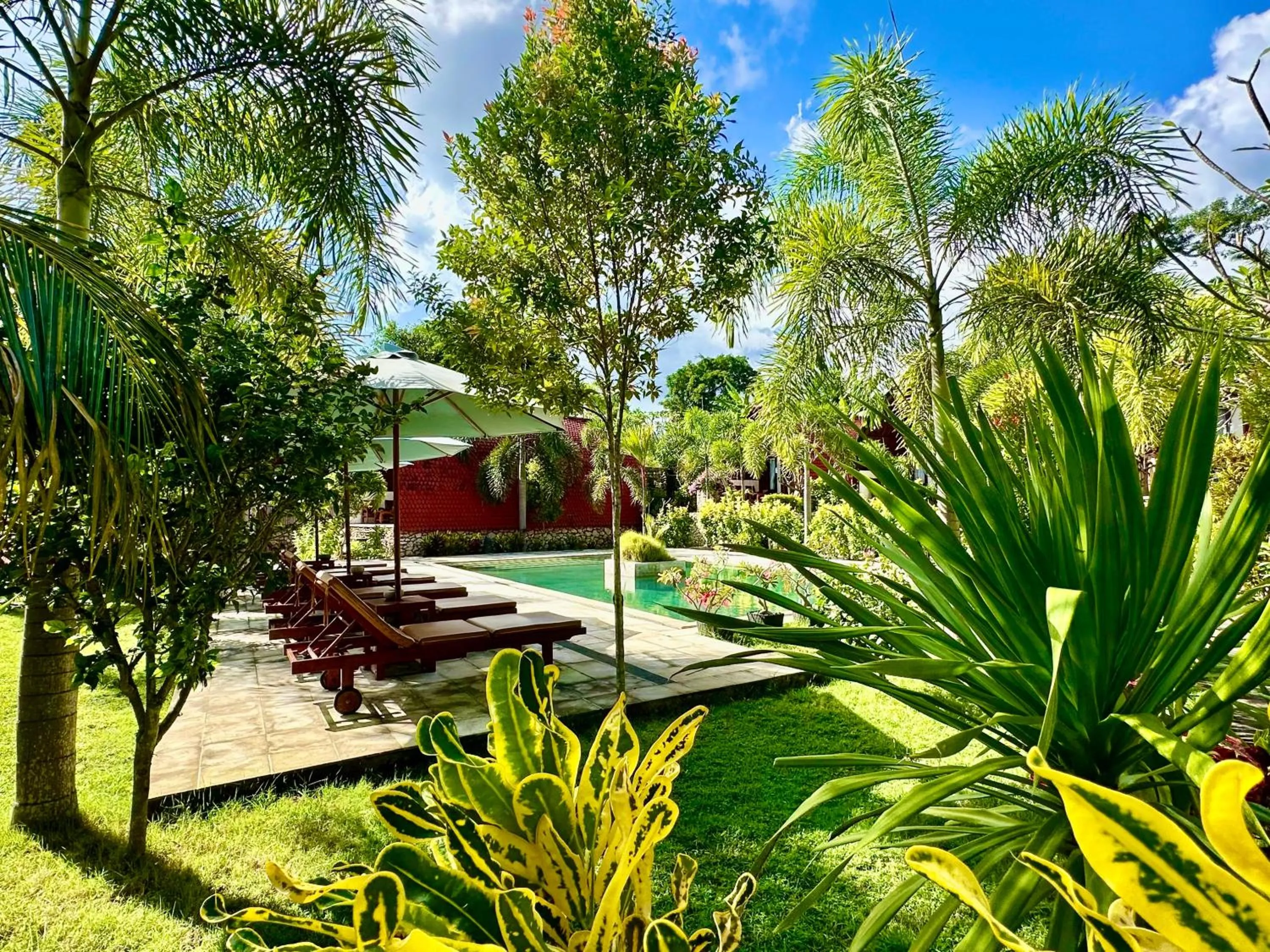 Swimming pool in Jungle Paradise