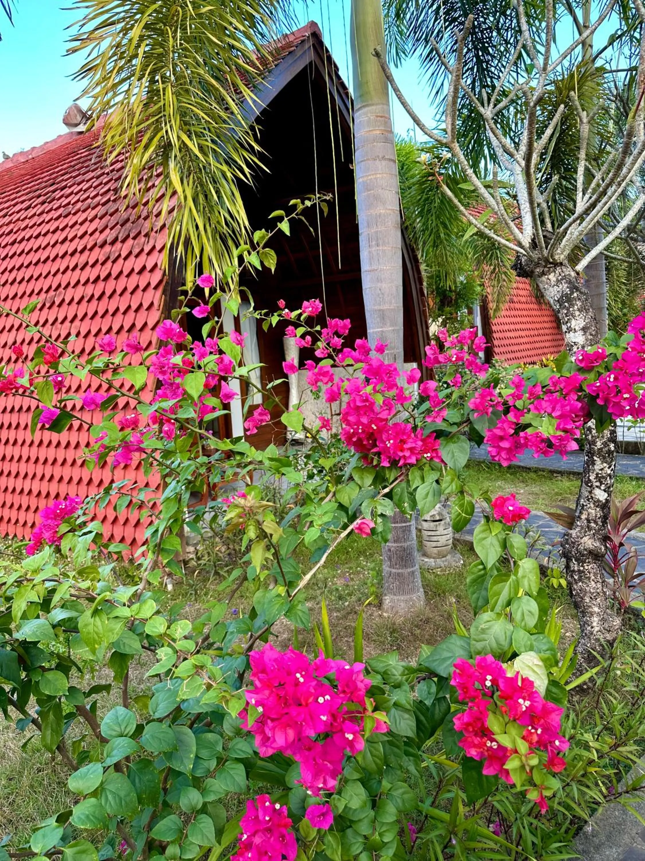 Property building in Jungle Paradise
