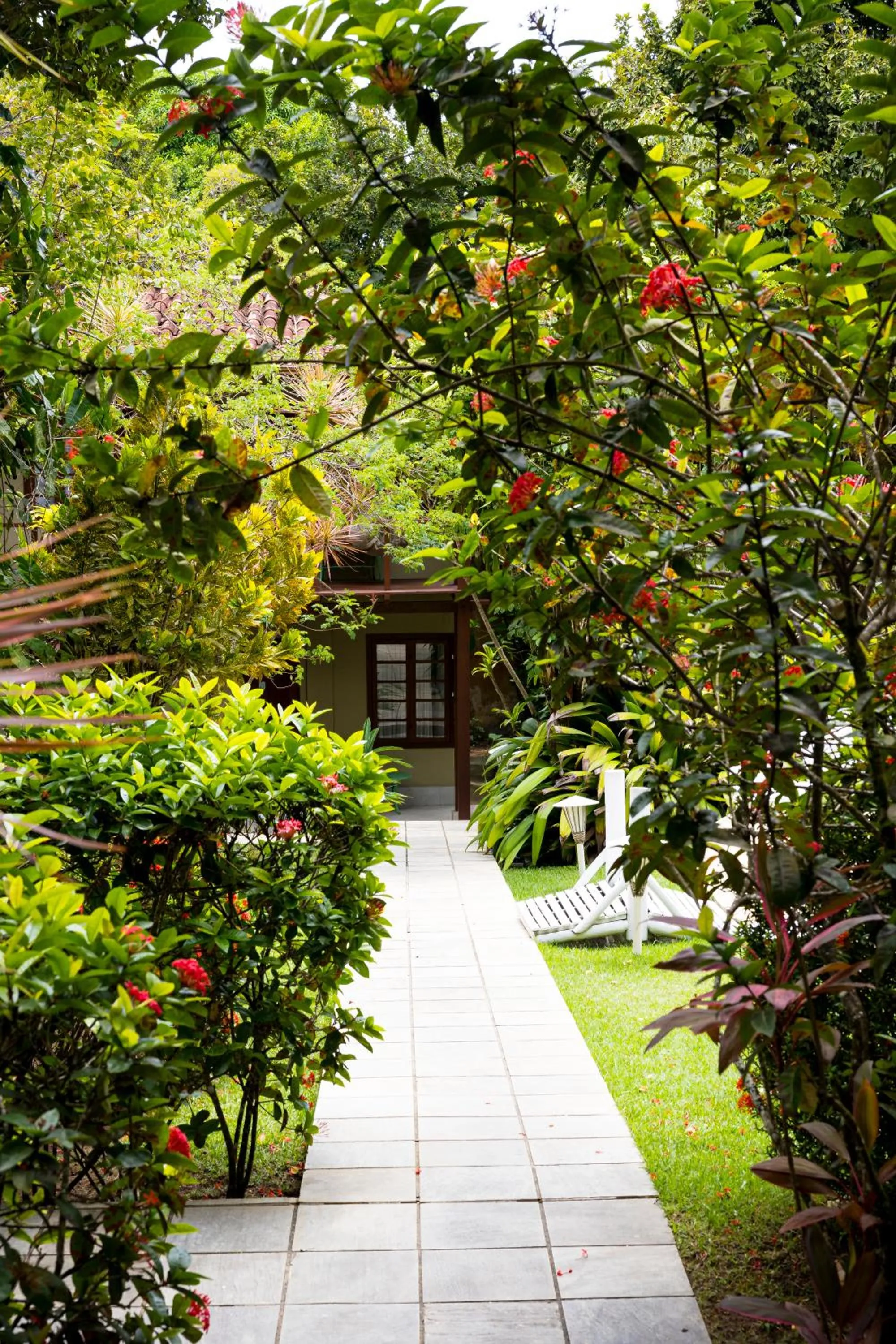 Garden in Pousada Coisa e Tao