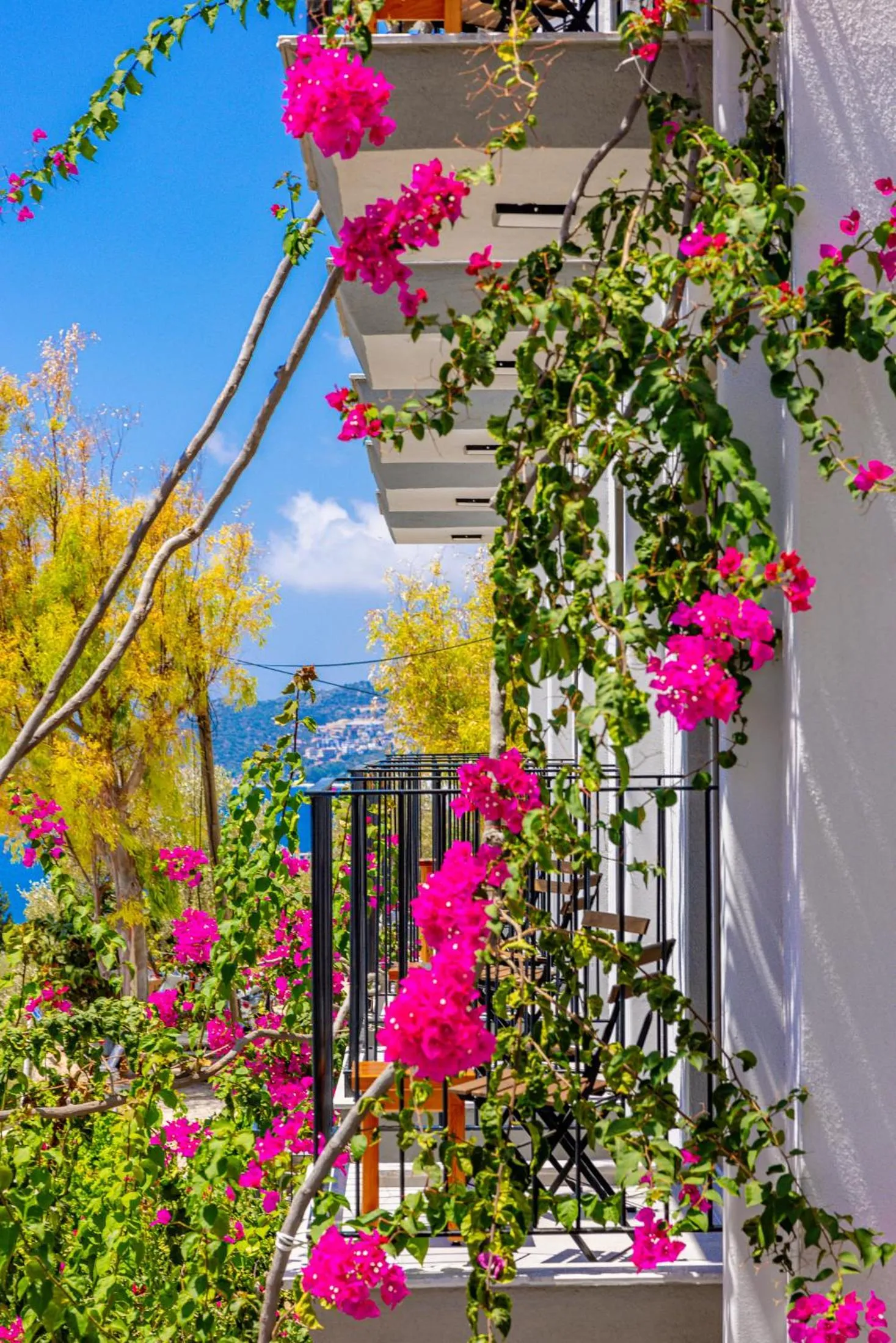 Balcony/Terrace in Aphrodite Hotel Kaş