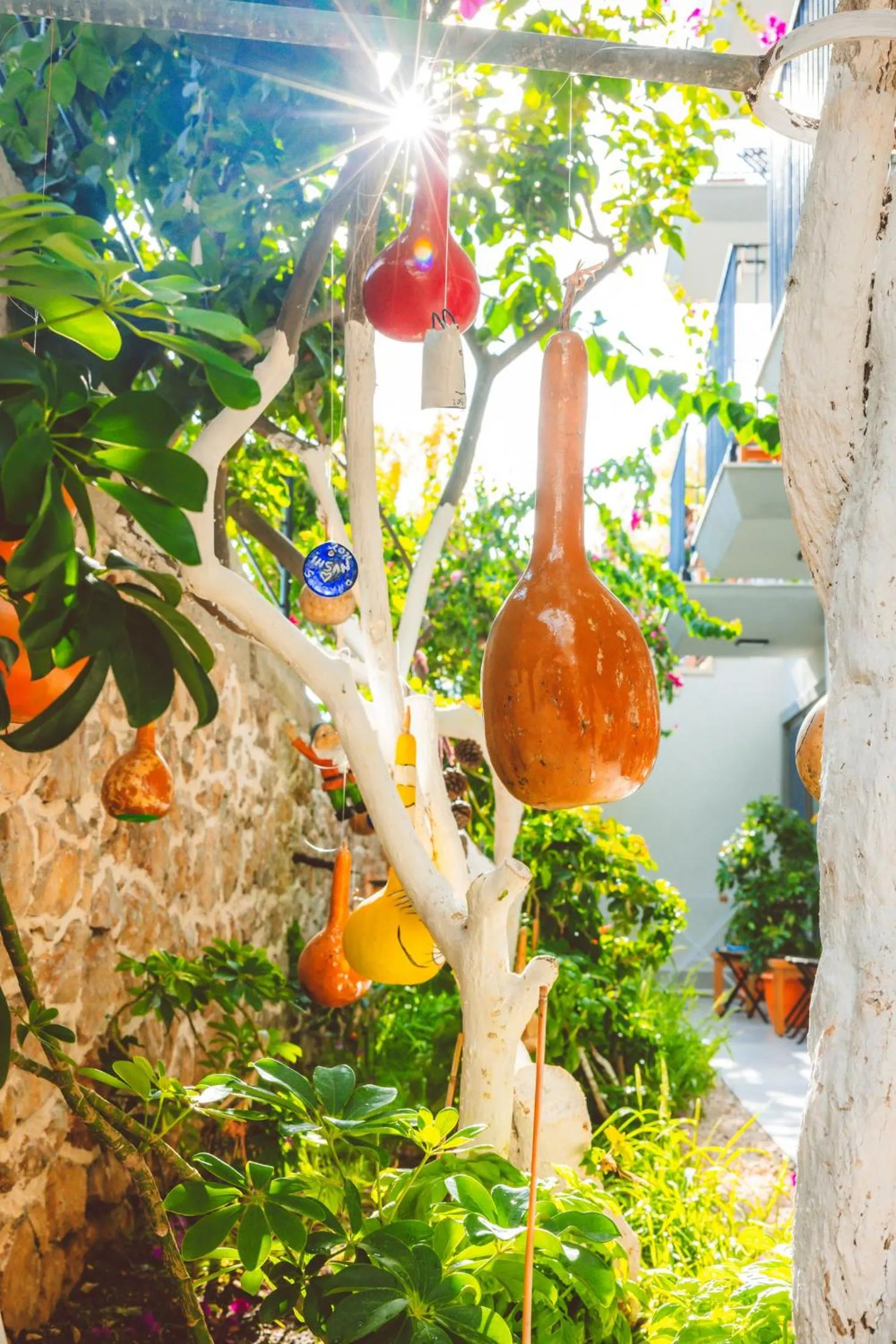 Garden view in Aphrodite Hotel Kaş