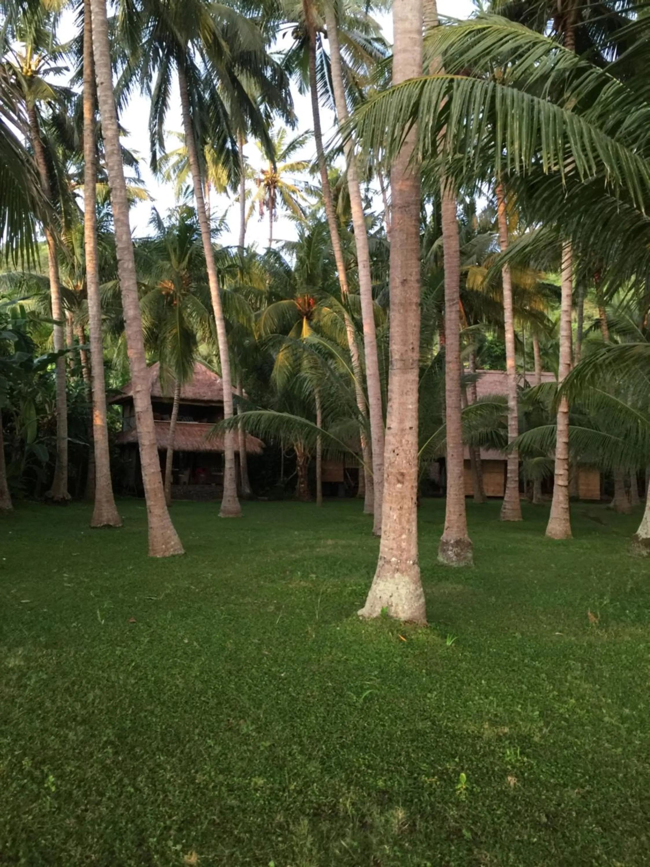 Garden in IDA'S Homestay