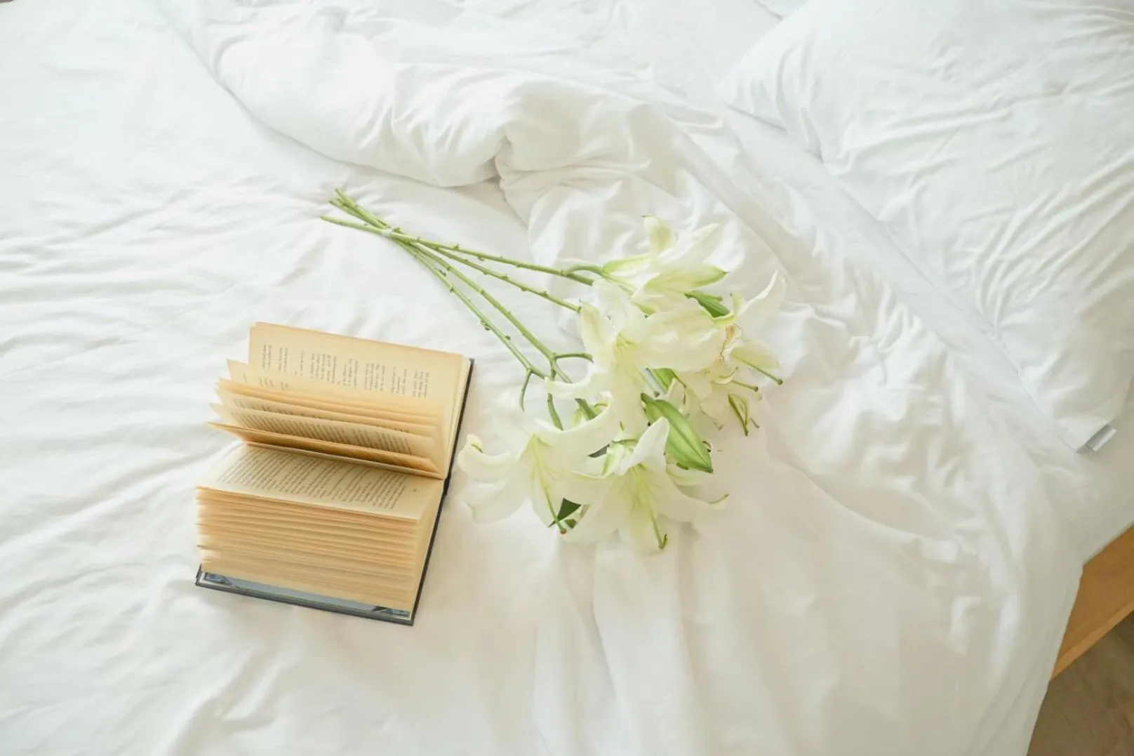 Bed in YAKTHAI POSHTEL