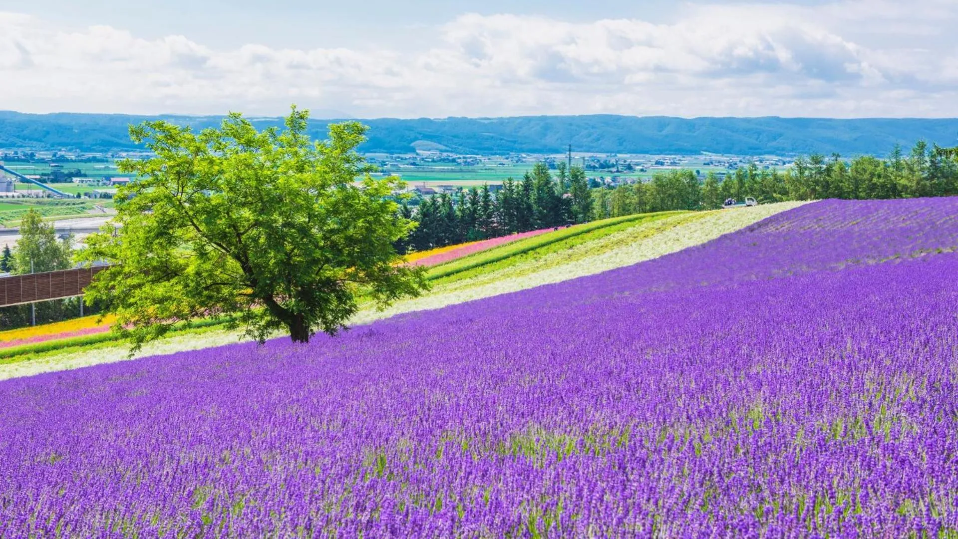 Nearby landmark in The Peak Villa Suite Hokkaido