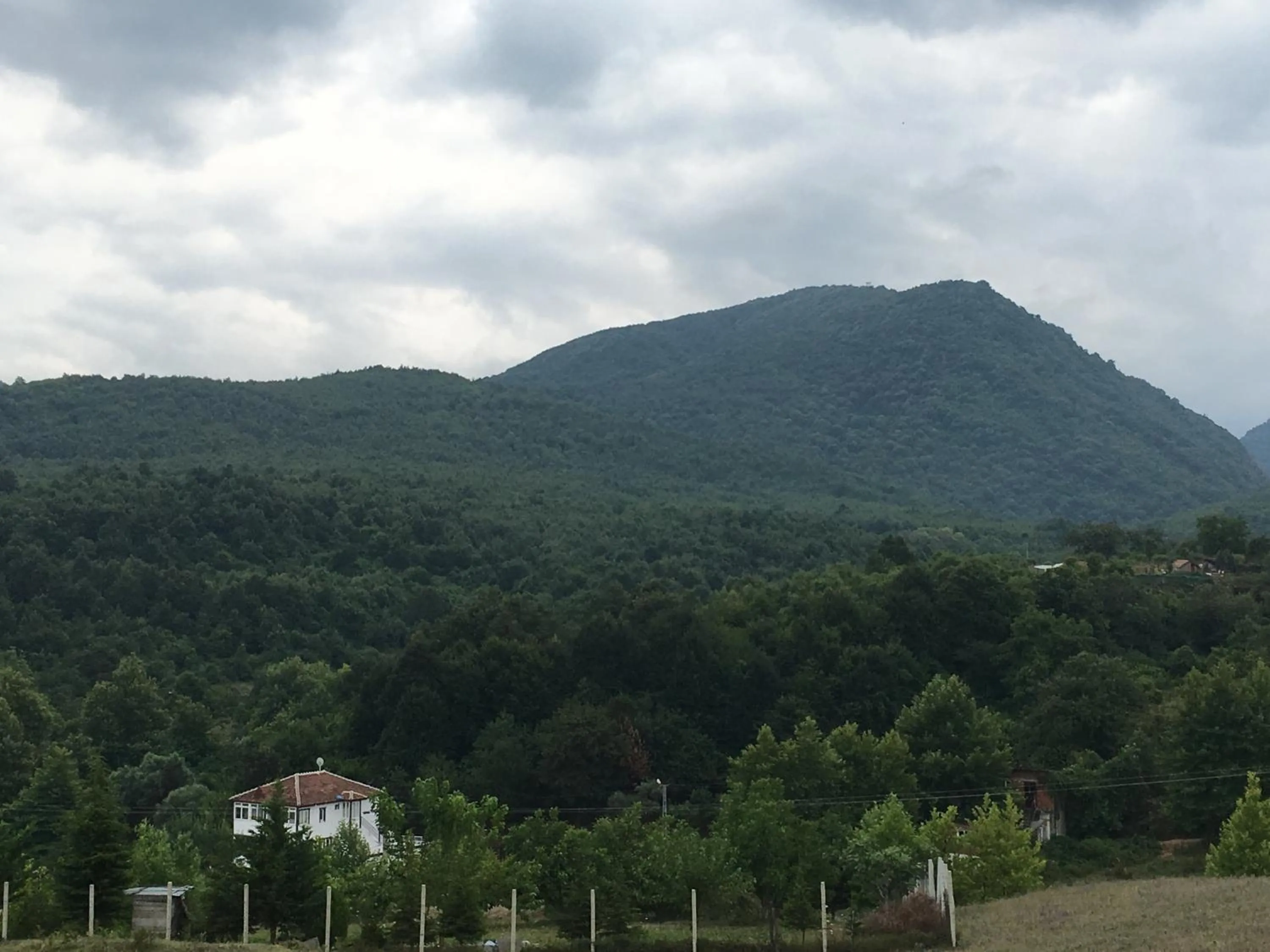 Property building in PASHA APART~BOUTİQUE HOTEL/YALOVA